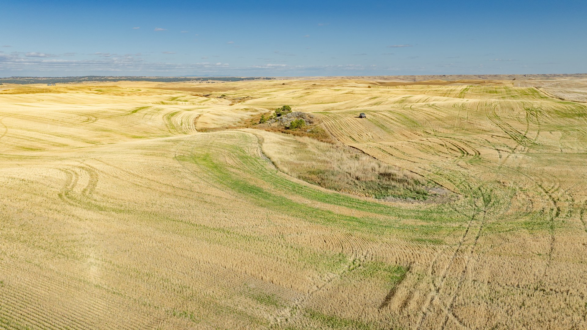 Salt Creek Ranch