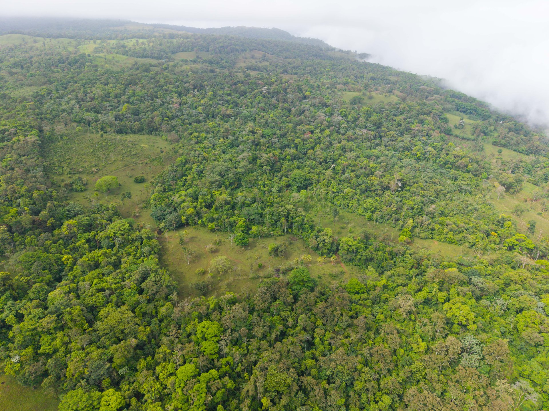 Finca Las Zompopas-Río Celeste | 113-Acre Biodiverse Property in Bijagua, Ideal for Eco-Tourism, Private Retreats, or Sustainable Development