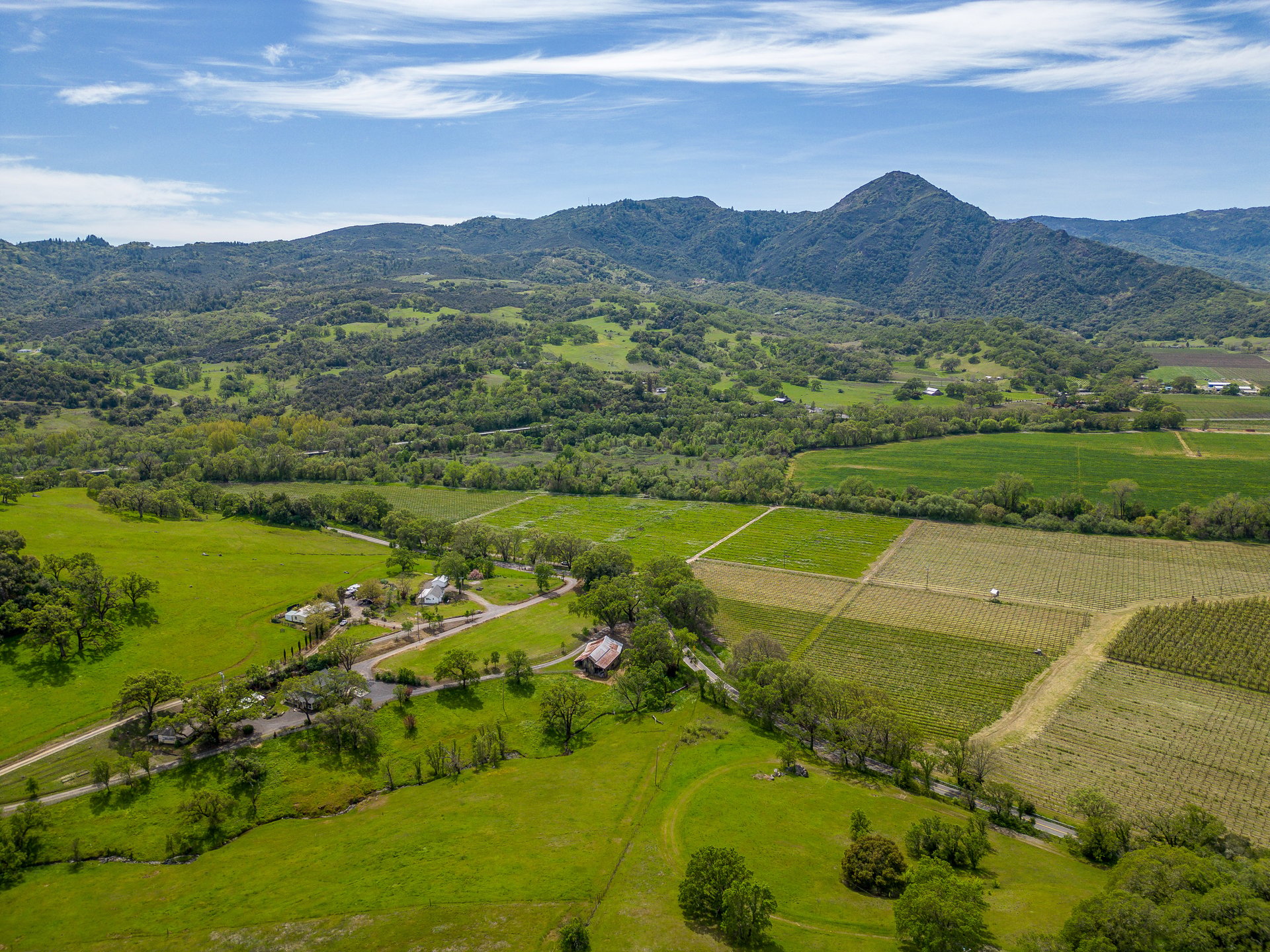 The Hopland Hills Ranch