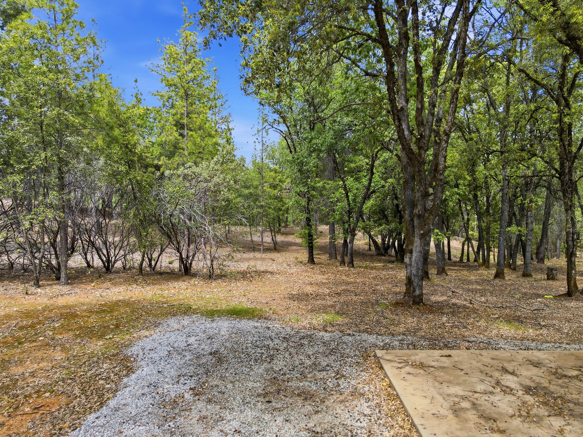 1451 Big Oak Rd