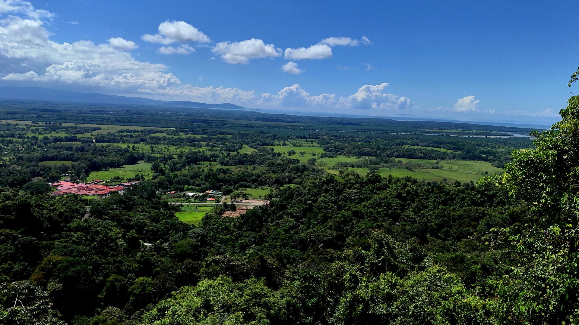 Ocean-View Lot in Chontales – 9,057 m² – Osa, Puntarenas