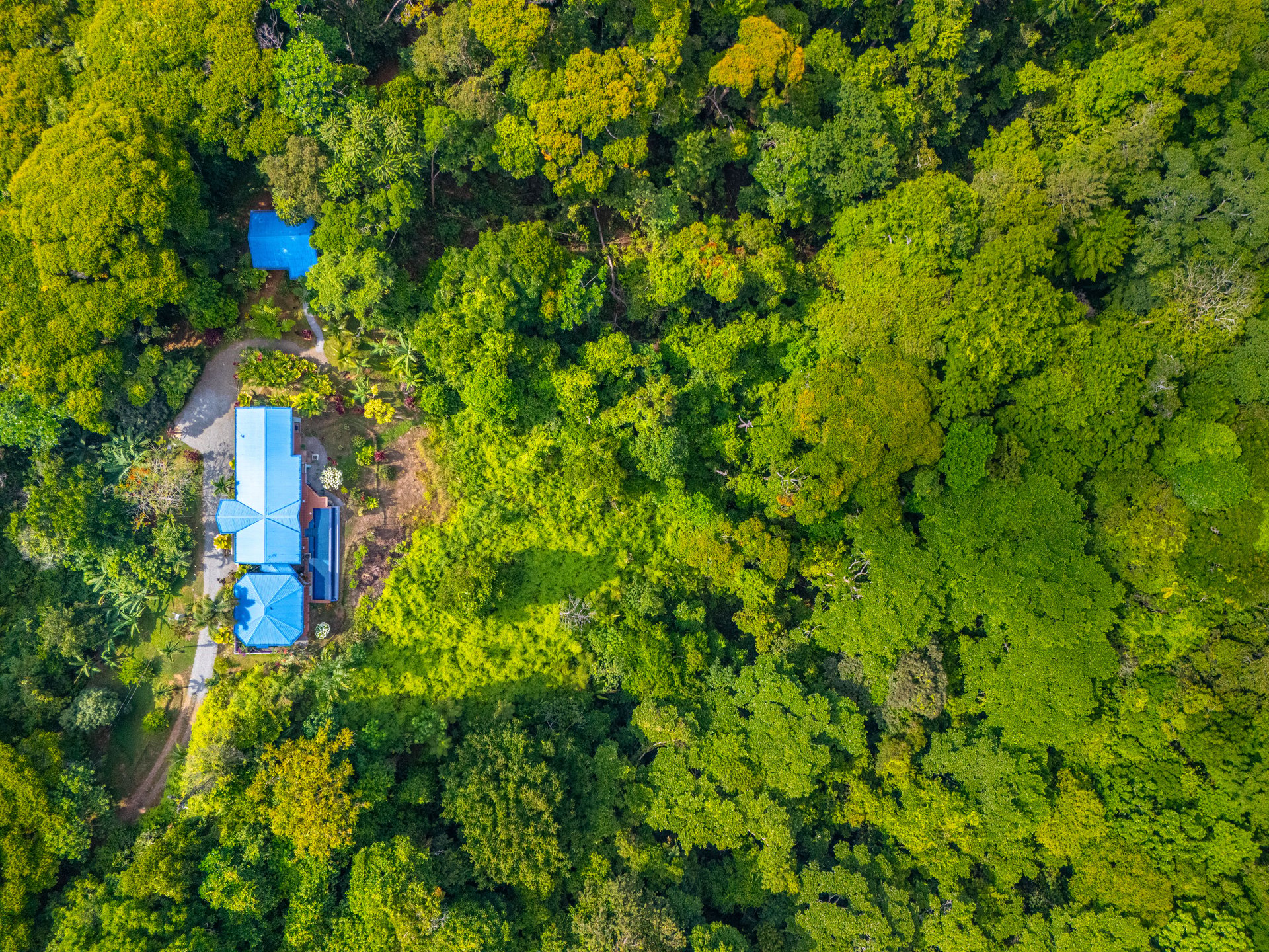 Timeless Estate in the Mountains of Escaleras — Ocean Views, Privacy, and Protected Nature on Nearly 5 Acres