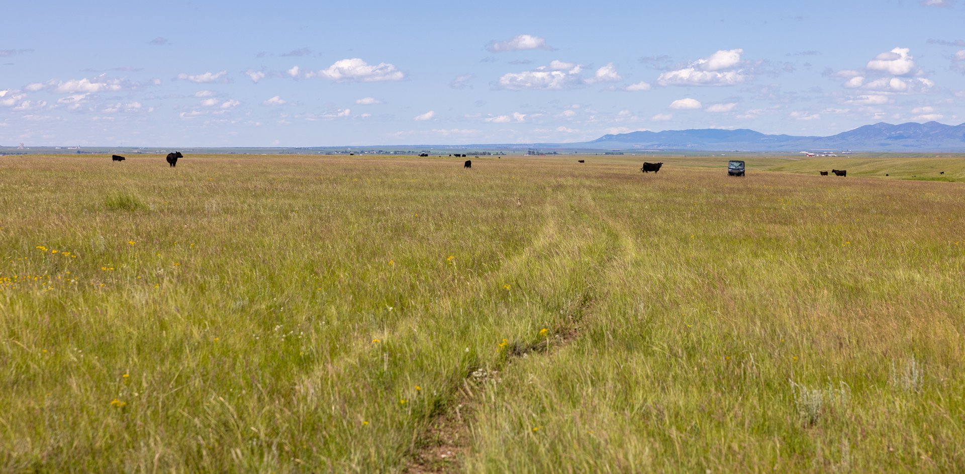 Hauck Coulee Ranch