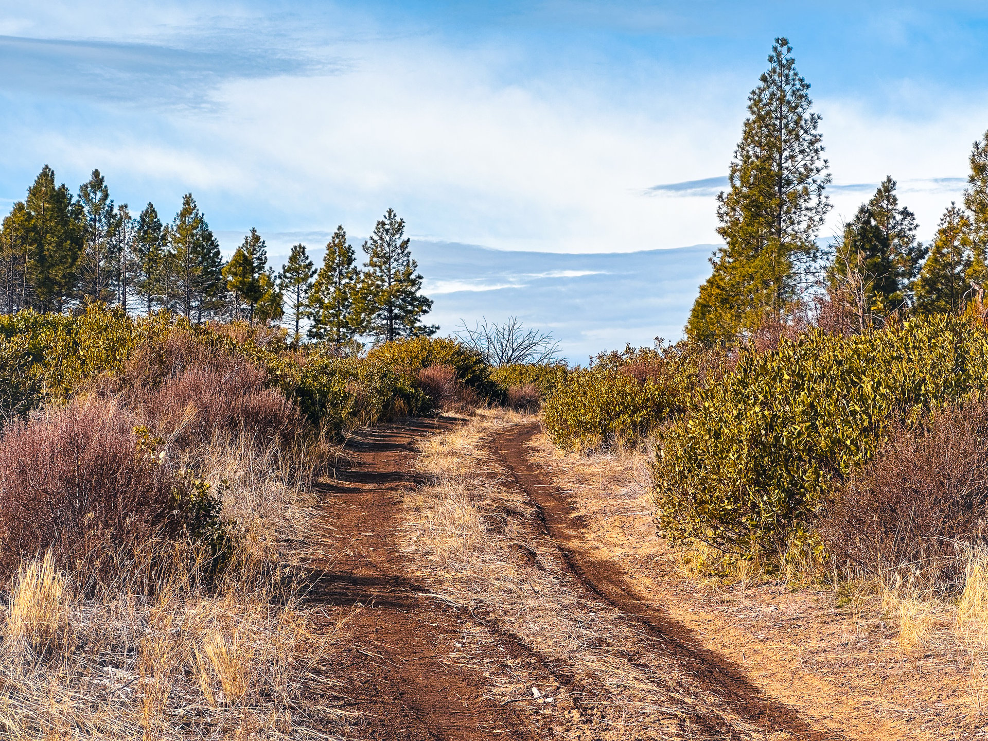Klamath Basin