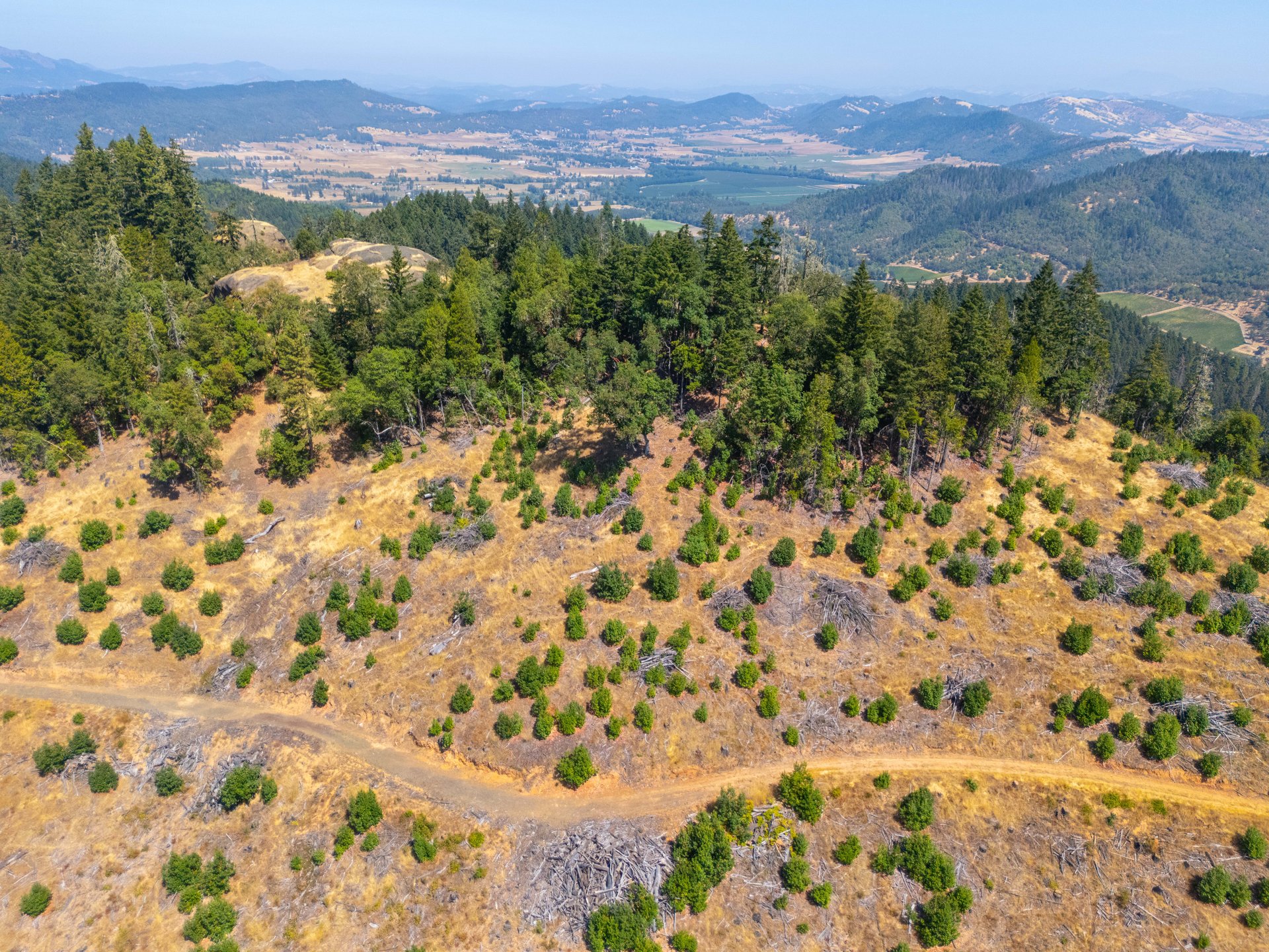 STRICKLAND BOULDER FOREST