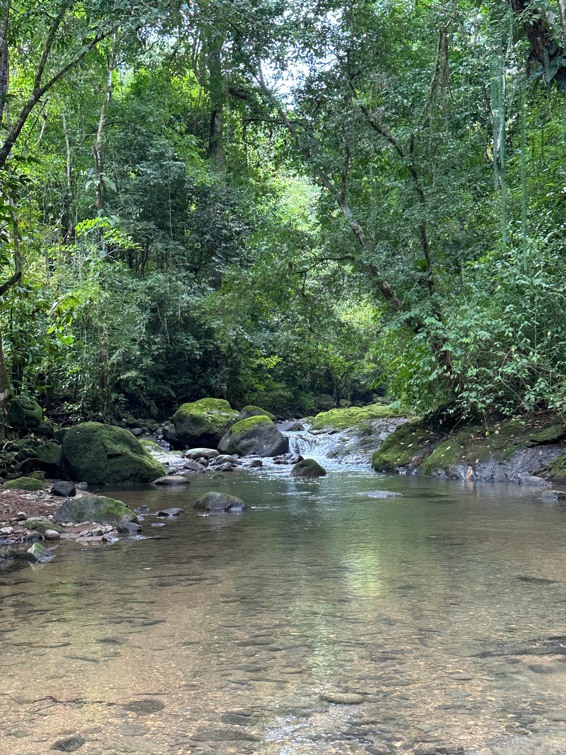 Jungle Oasis with River Frontage Near Dominical – 5.2 Acres of Pure Nature