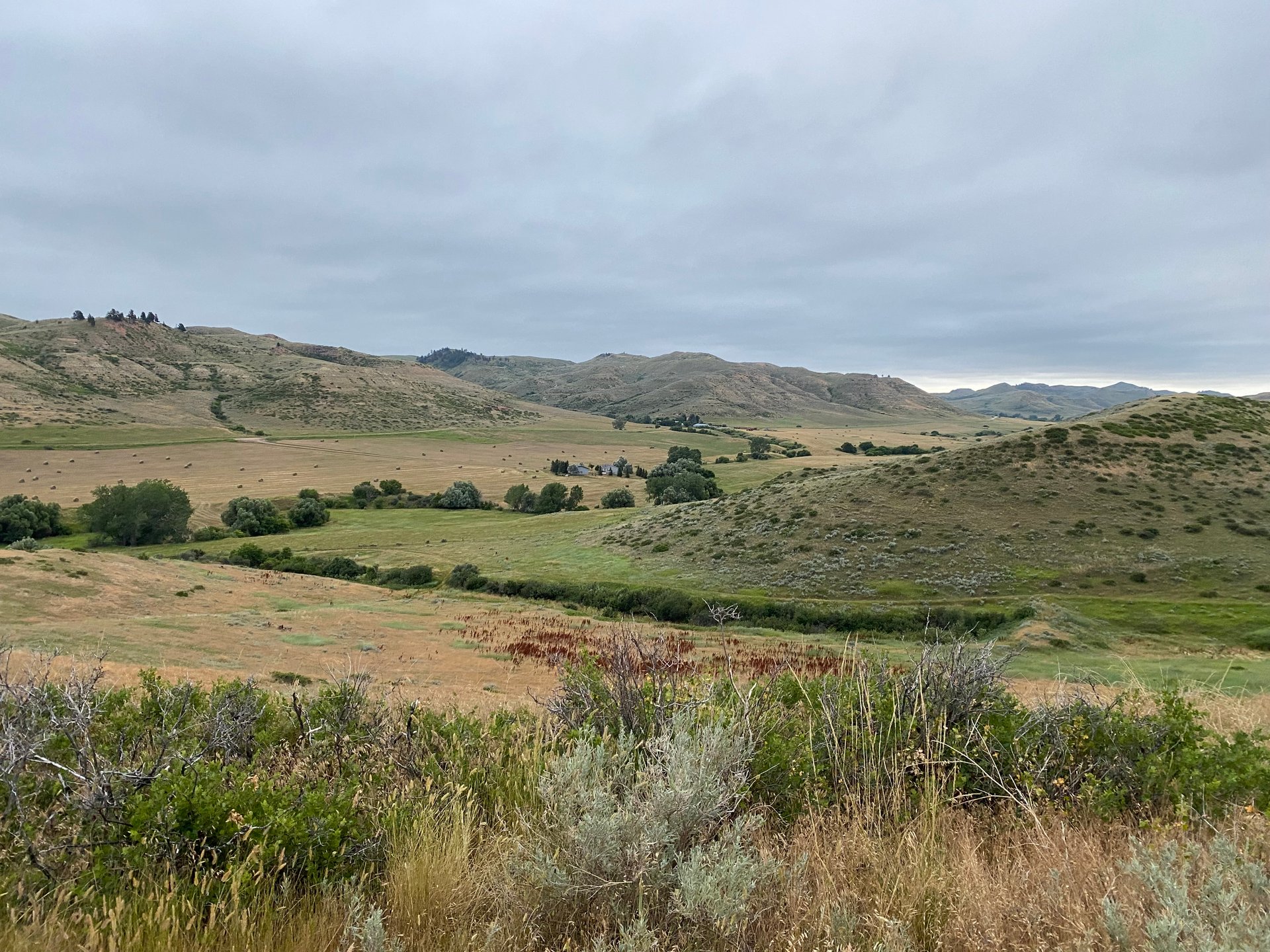 Dutch Creek Ranch 
