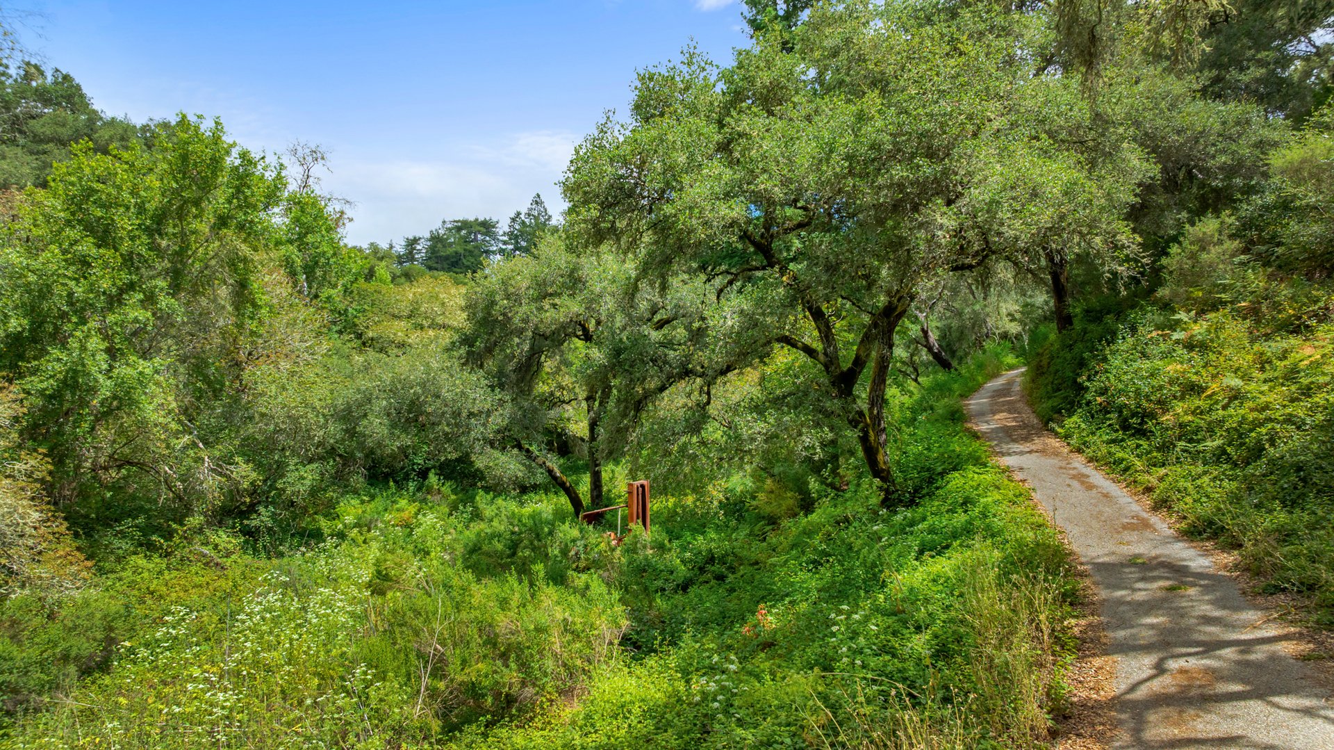 Rare Redwood Acreage in Scotts Valley