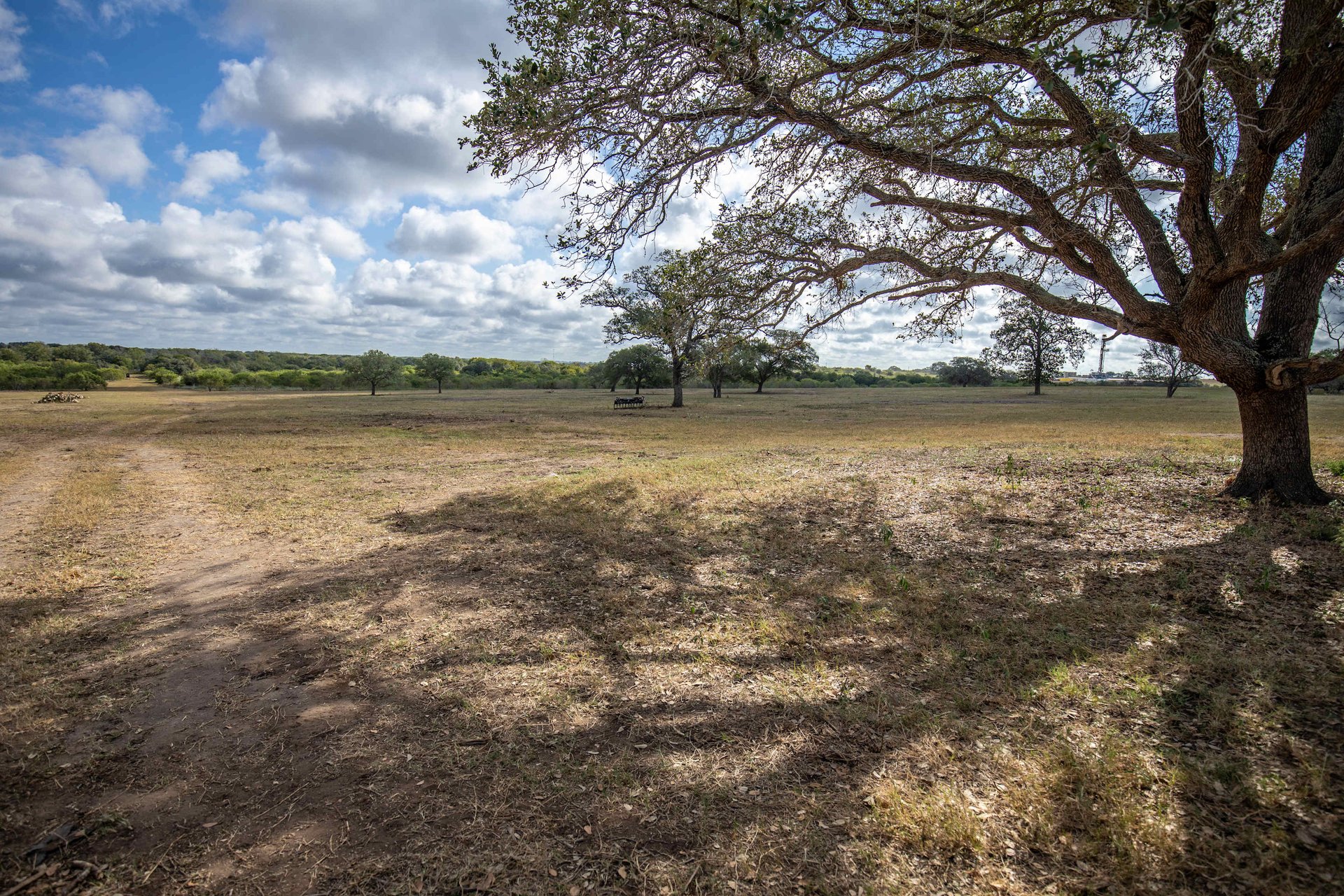 The Poco Loco | 278± Acres | DeWitt County