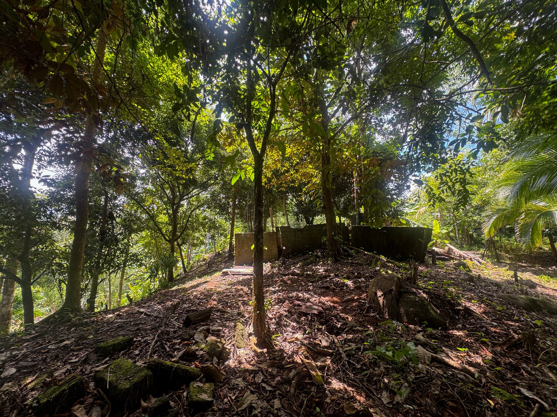 1.2- ACRE Mountain View Property with creek in  La Union Road, Uvita