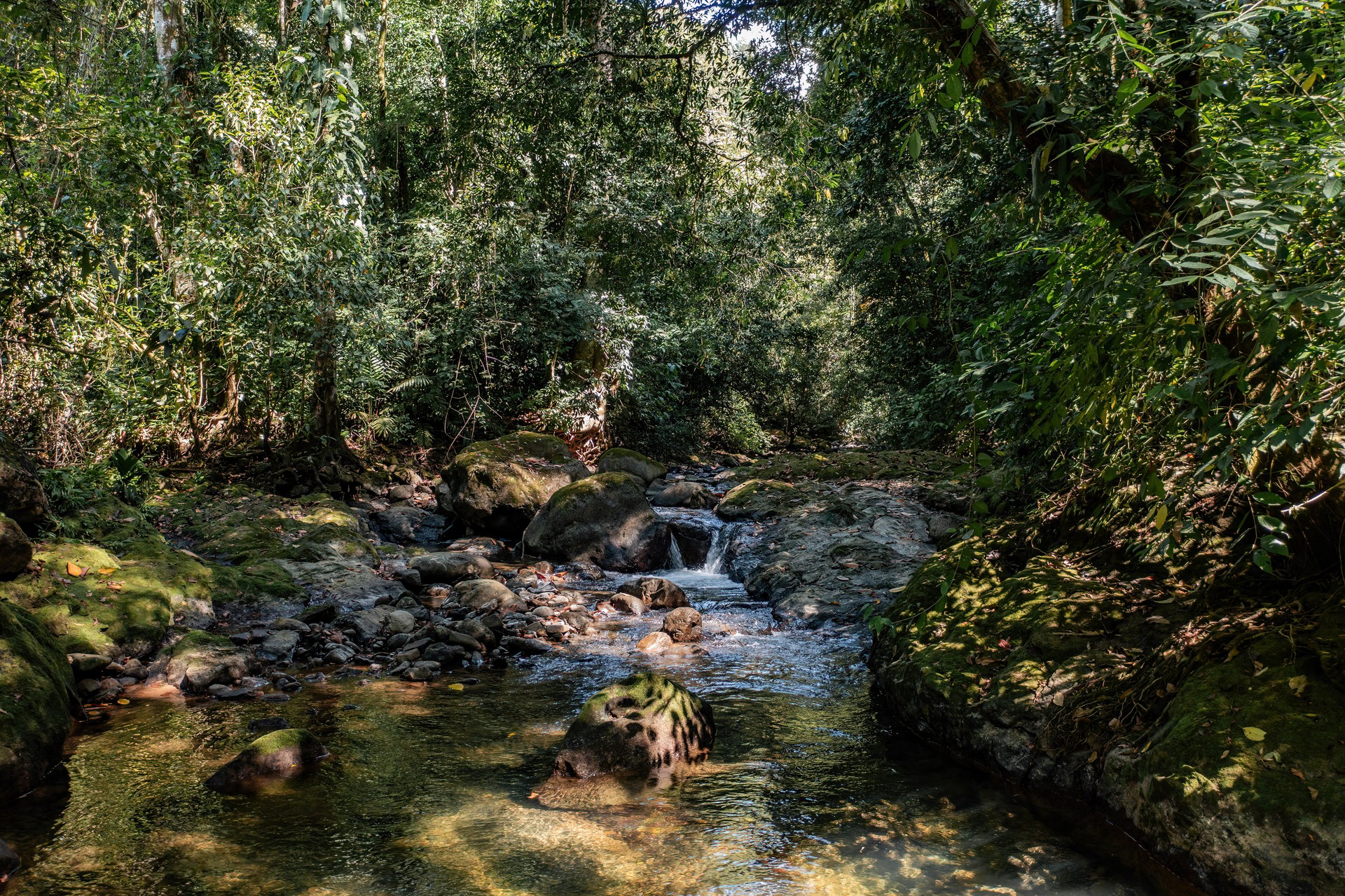 Ocean View Lot in Paradise Breezes, Hatillo - Ready to build