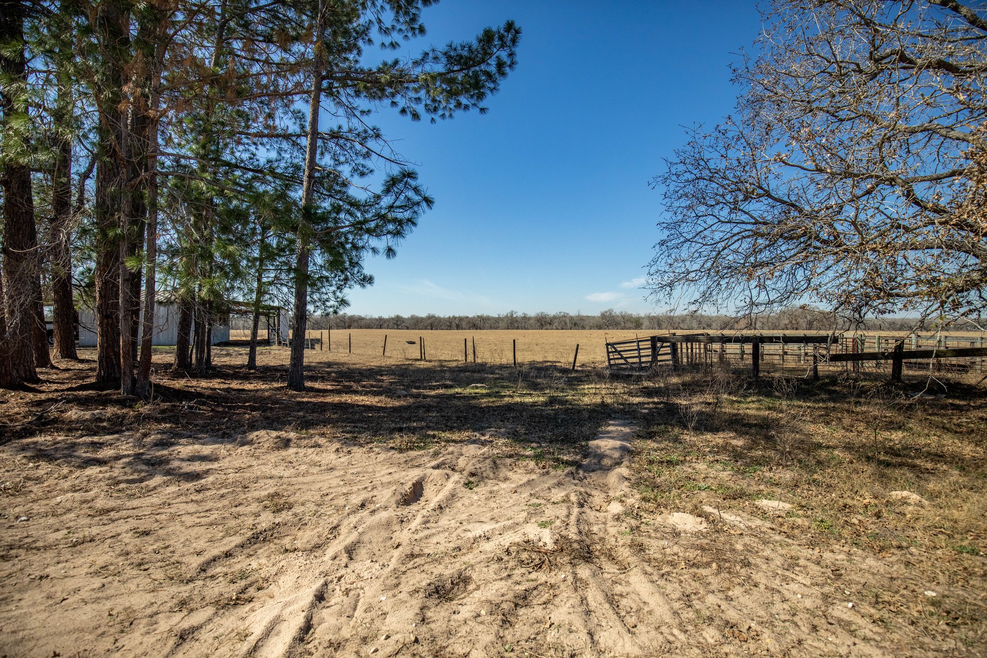 Whispering Pines Floresville Ranch | 298± Acres | Wilson County