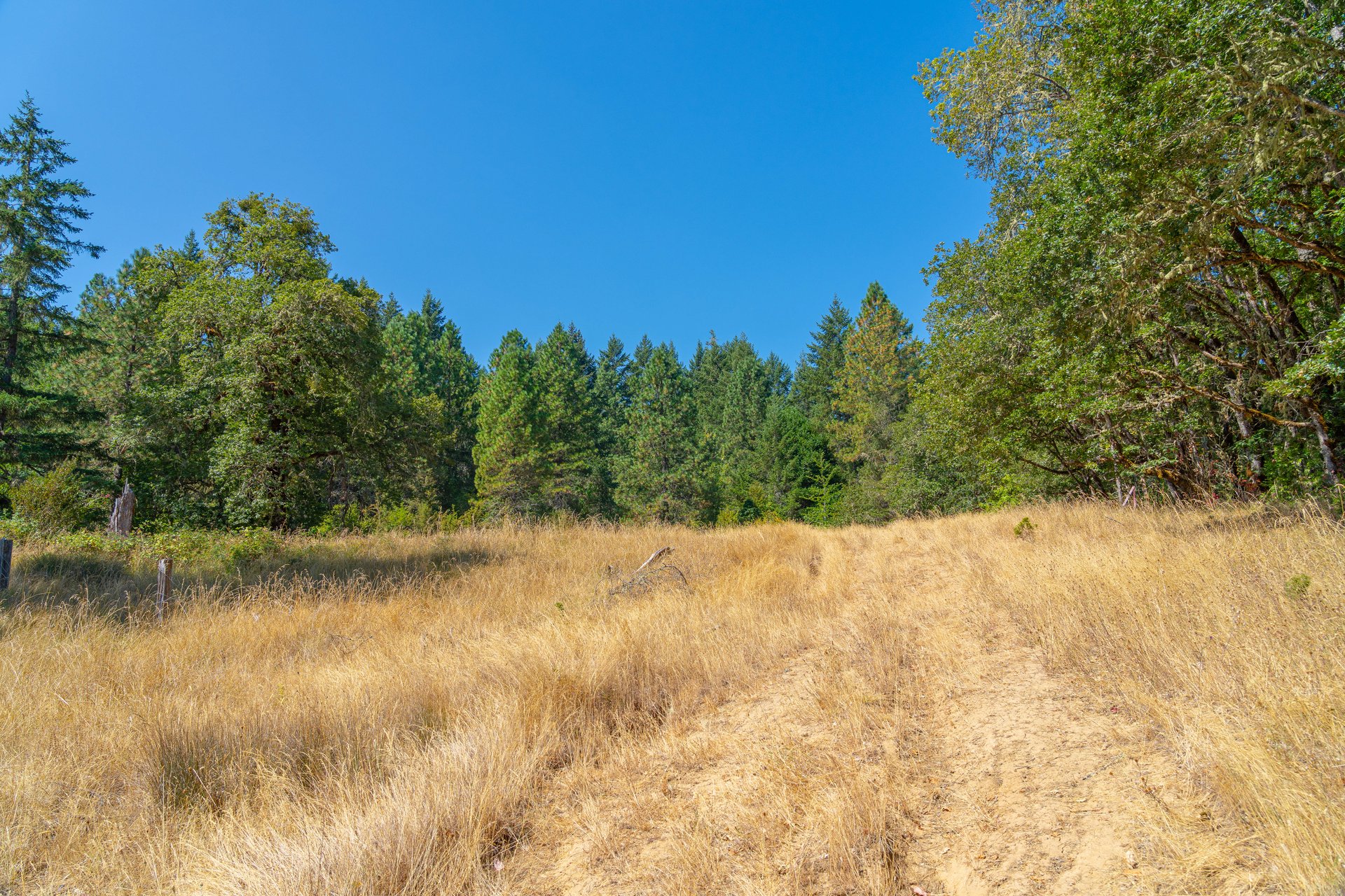 WAGON ROAD HOMESTEAD