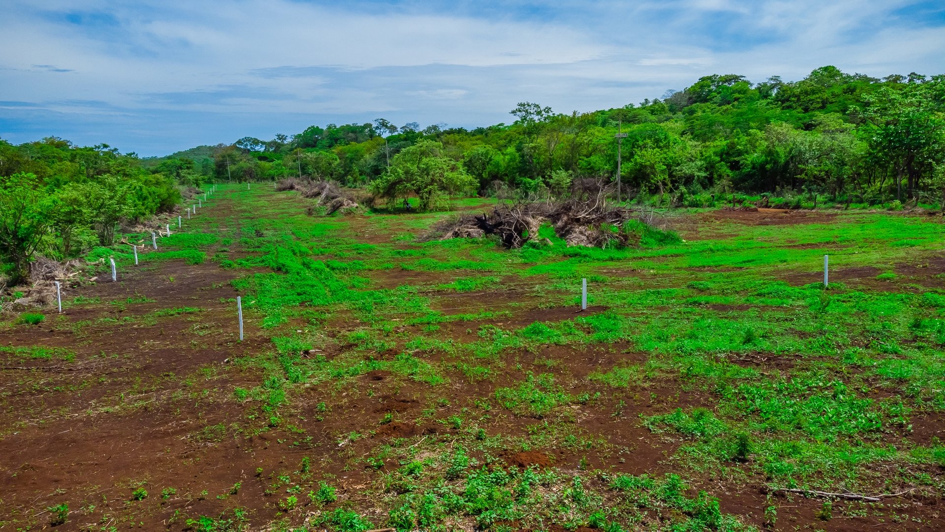 Villa Real Homesites | Ready-to-Build Lots Near Tamarindo