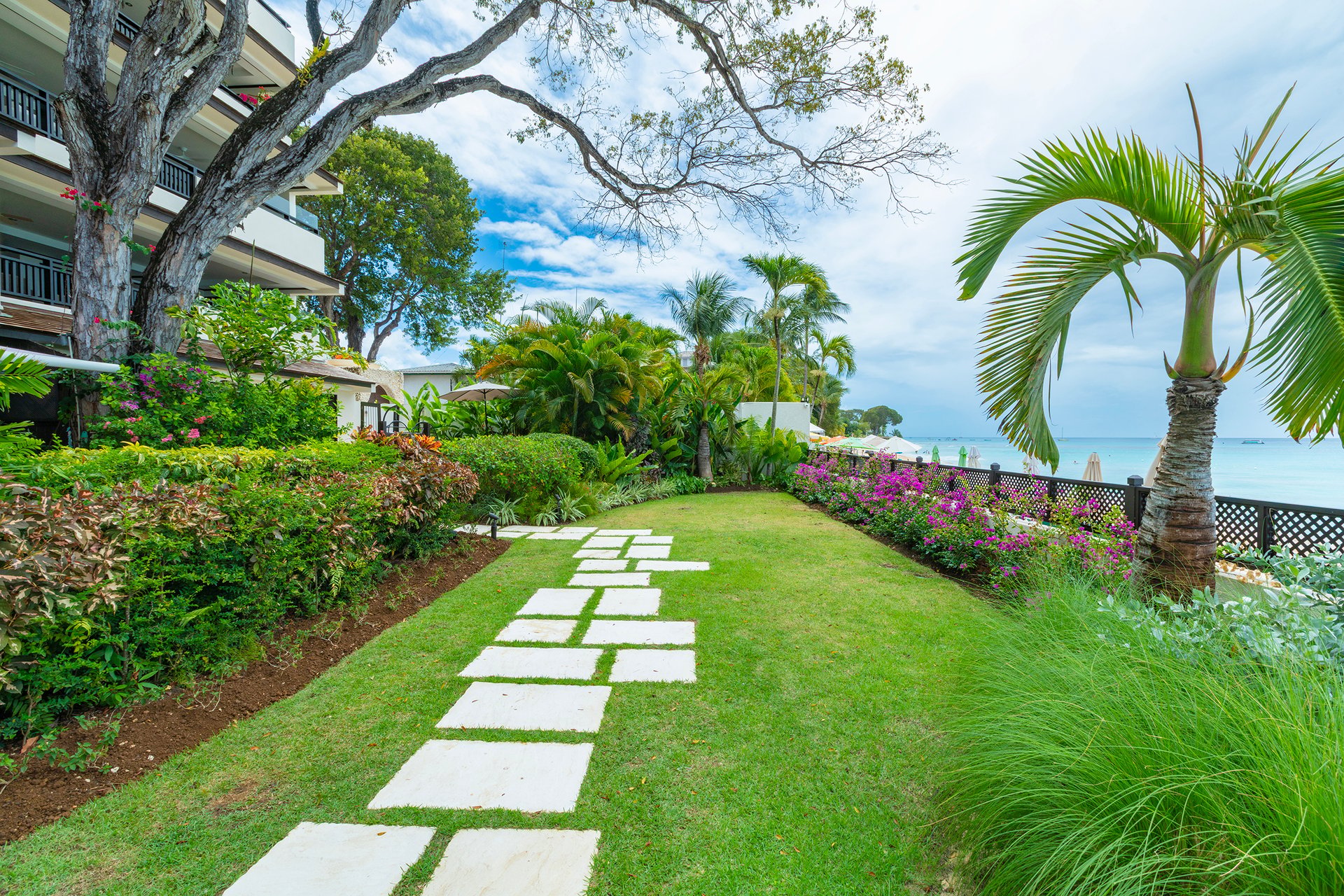 Coral Cove One