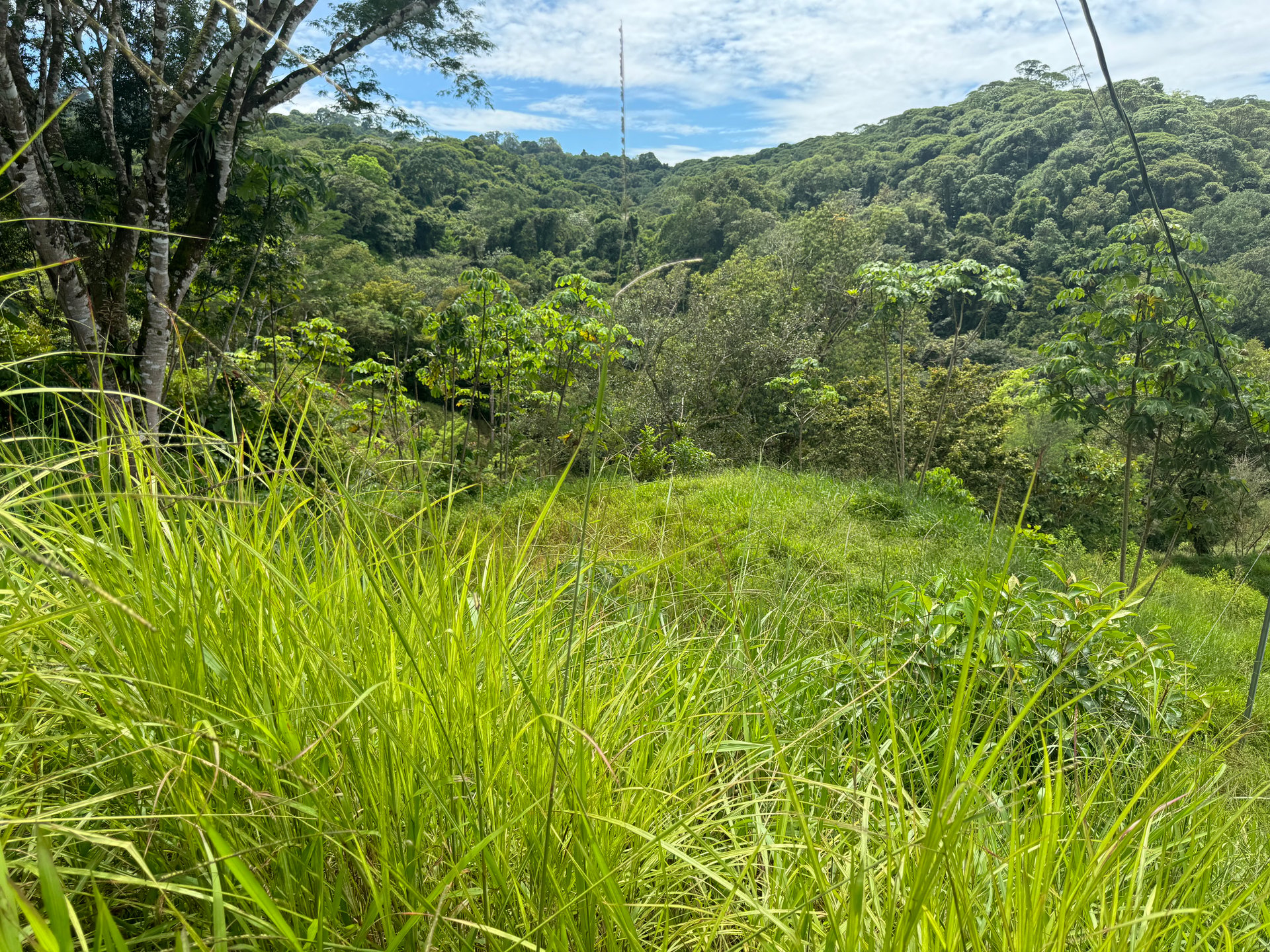 2.6 ACRES – 3 Bedroom Home With Beautiful Views, Several More Building Sites, Perfect For Small Farm!!!