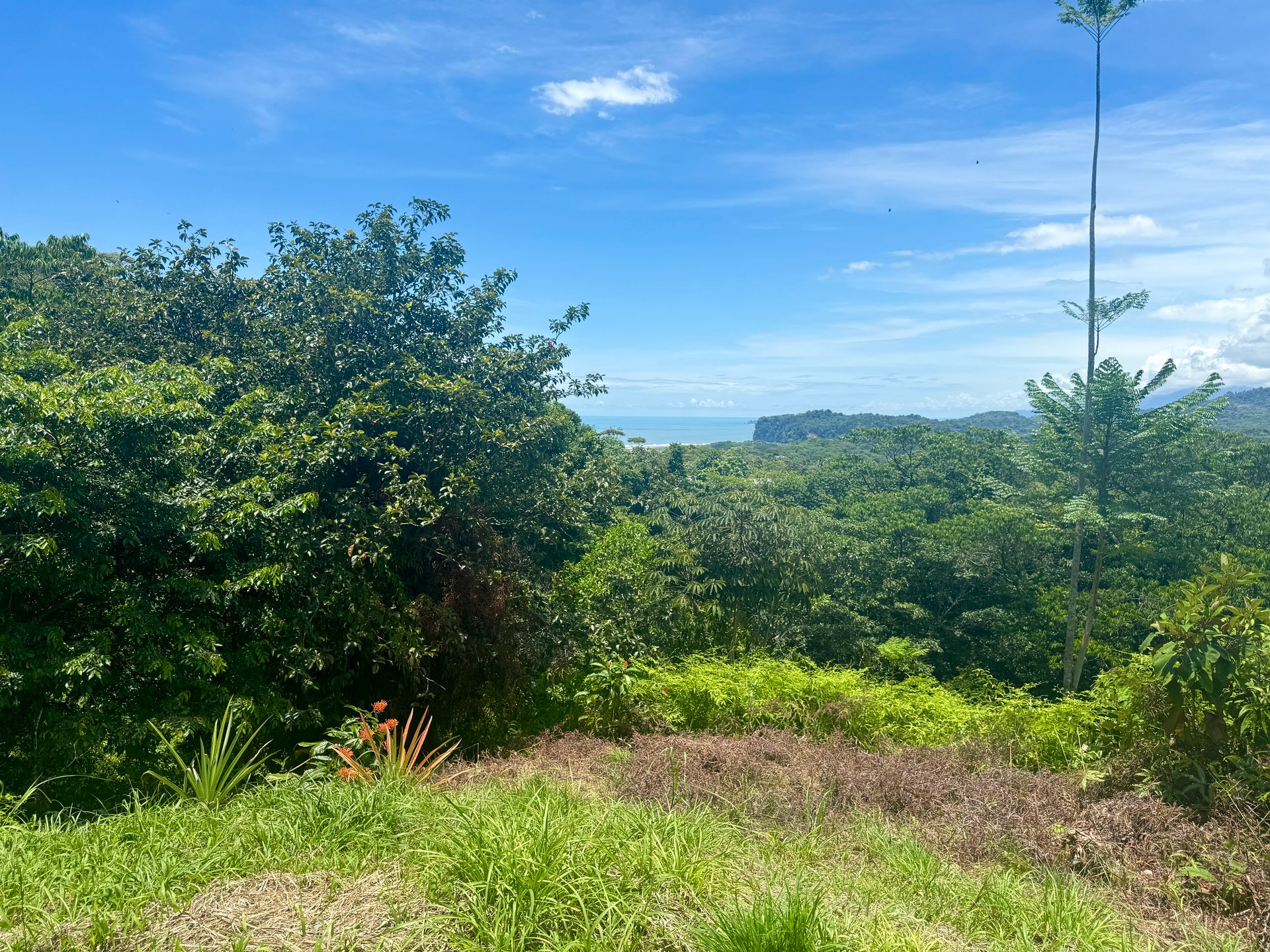 Lot in Calle Perezoso
