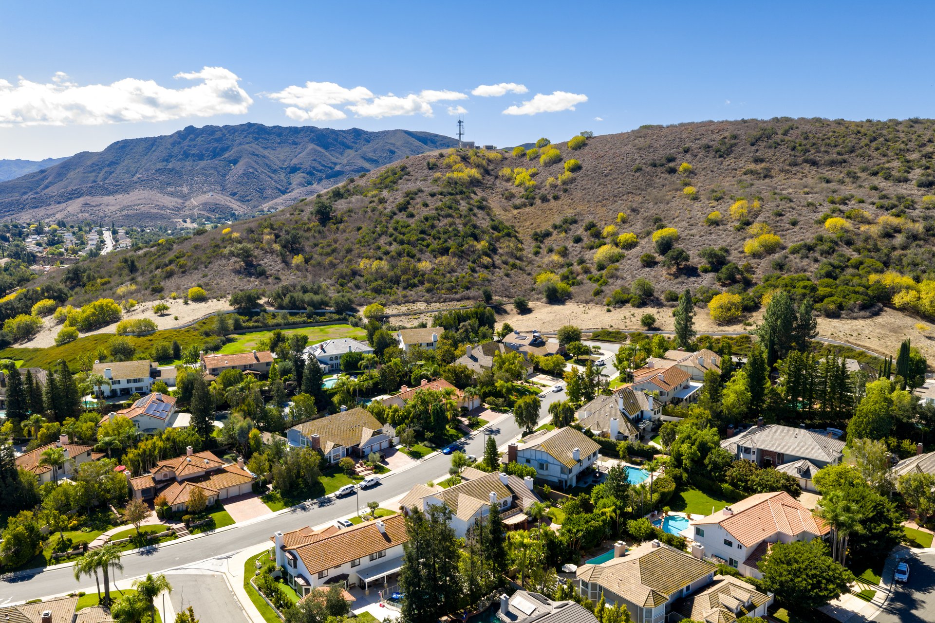 29515 Weeping Willow Drive