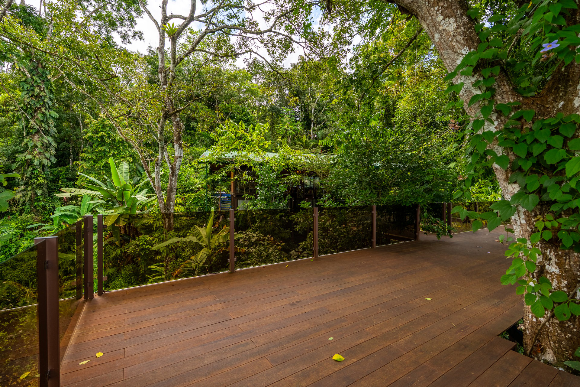 FIRE SALE!! | Where the Journey Begins | Private Jungle Estate at Nauyaca Waterfalls