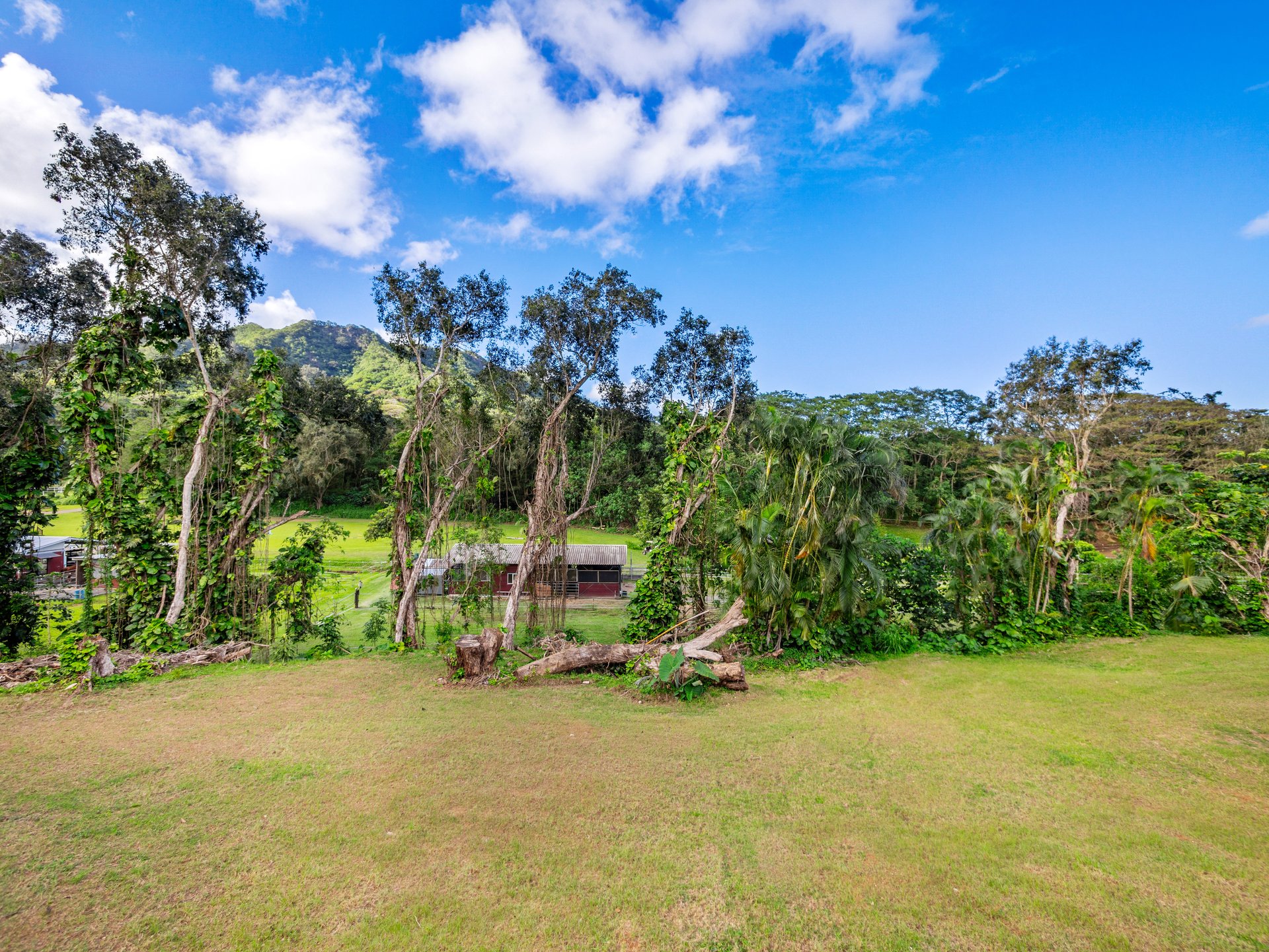 969 Auloa Road
