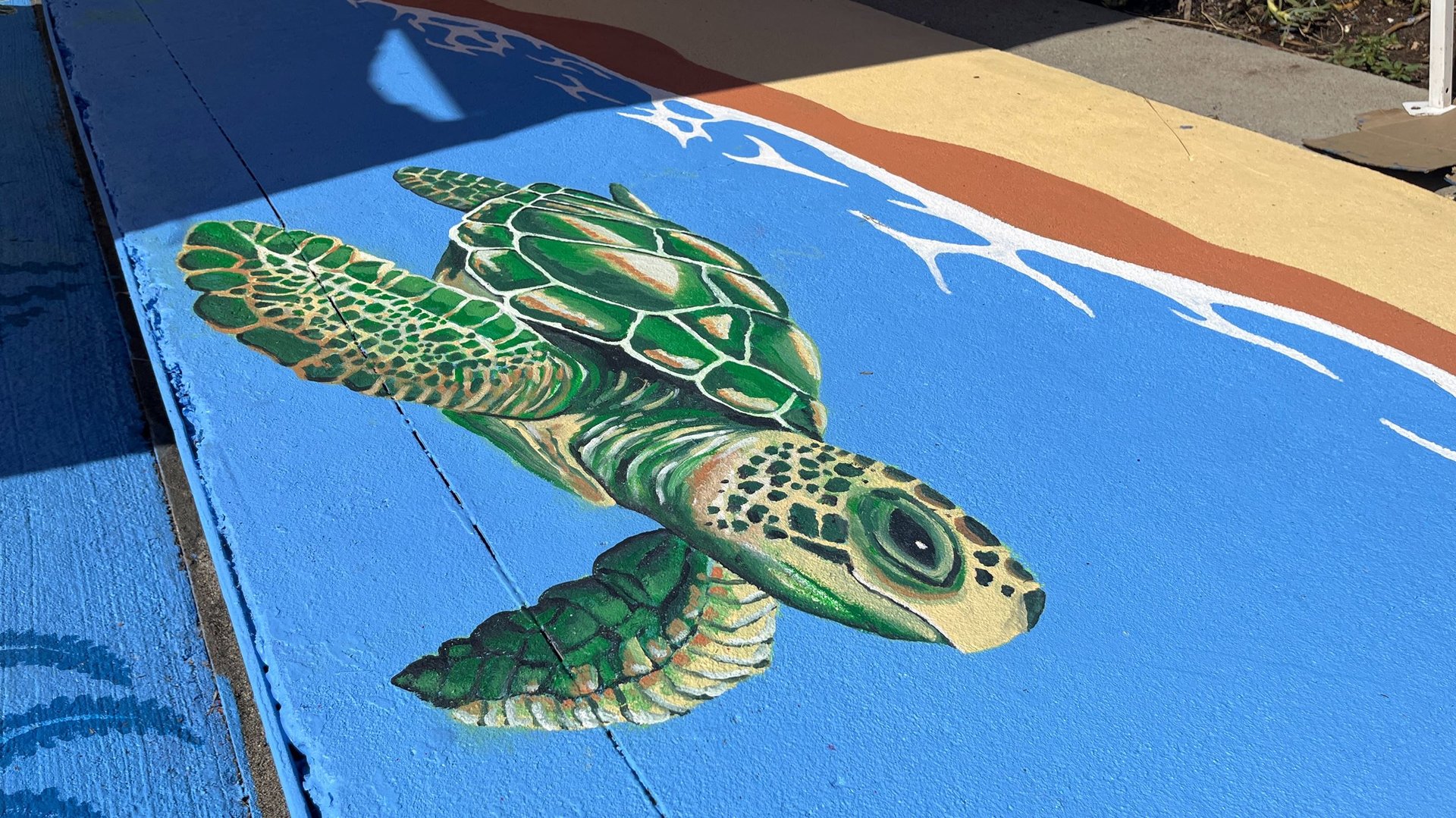 Baby sea turtle storm drain mural on Heathercliff Road in Point Dume, Malibu