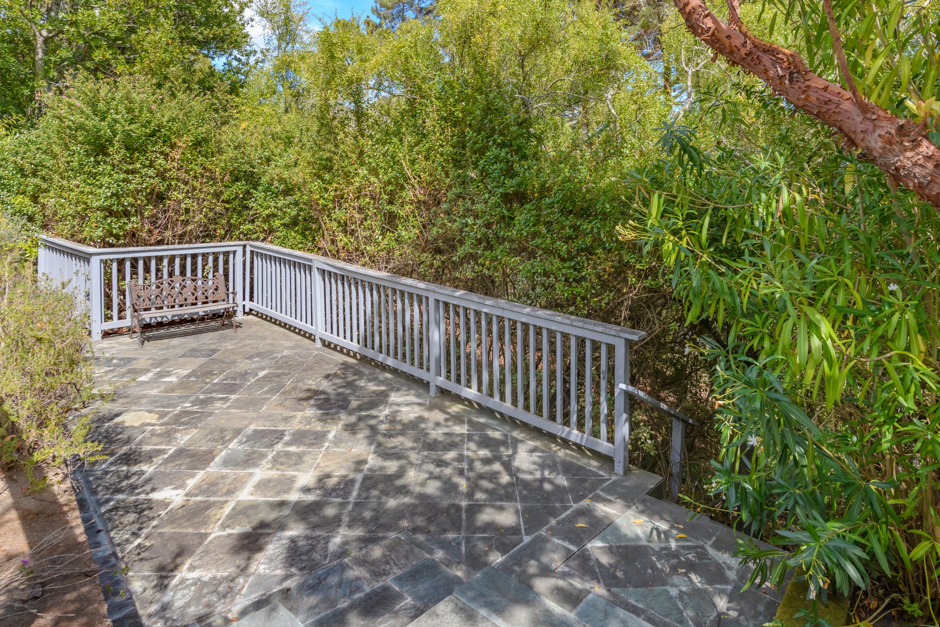Tiburon Legacy Estate with Unparalleled Views and a Rare Connection to Nature
