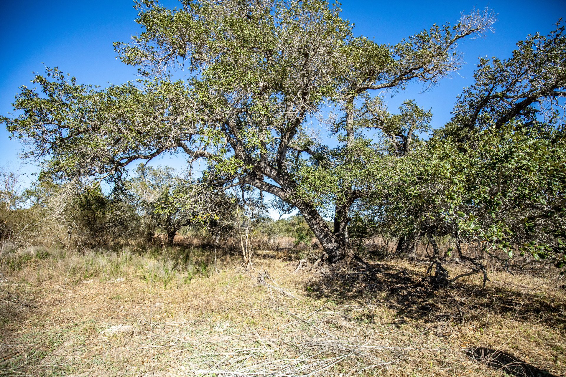 Lamar Peninsula Development Tract |  51.81± Acres | Aransas County