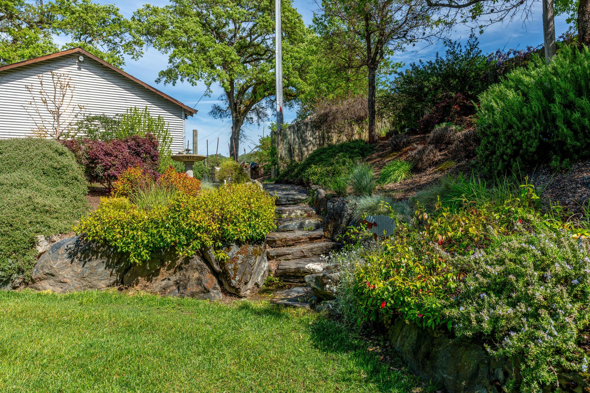 The Hopland Hills Ranch