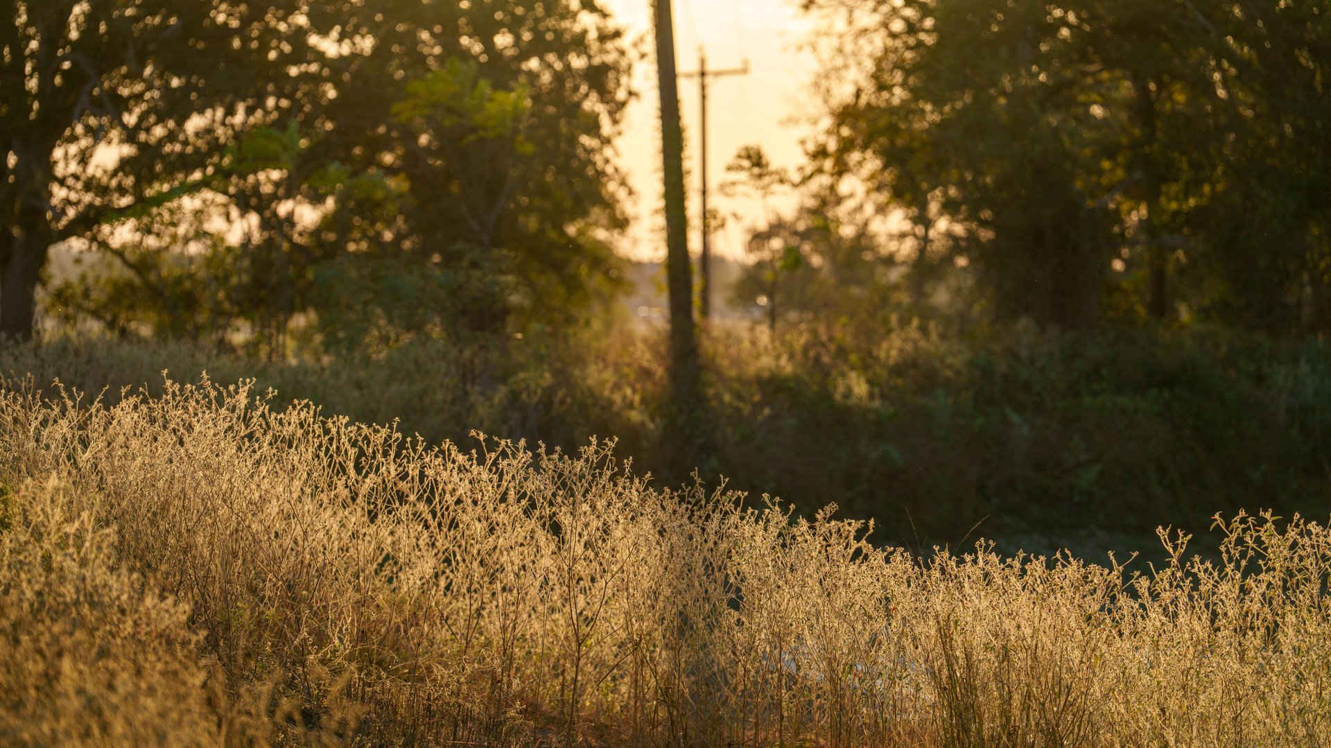 Gonzales County | 104+/- Acres