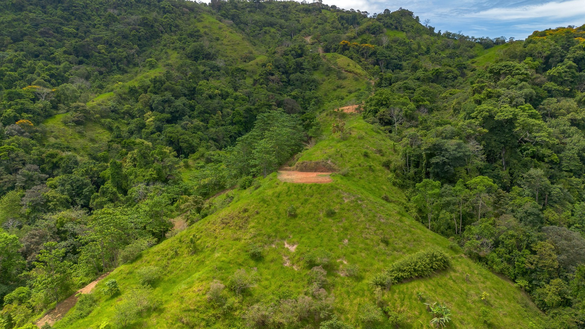 60+ Hectares in Platanillo | Own Your Own Mountain in Costa Rica