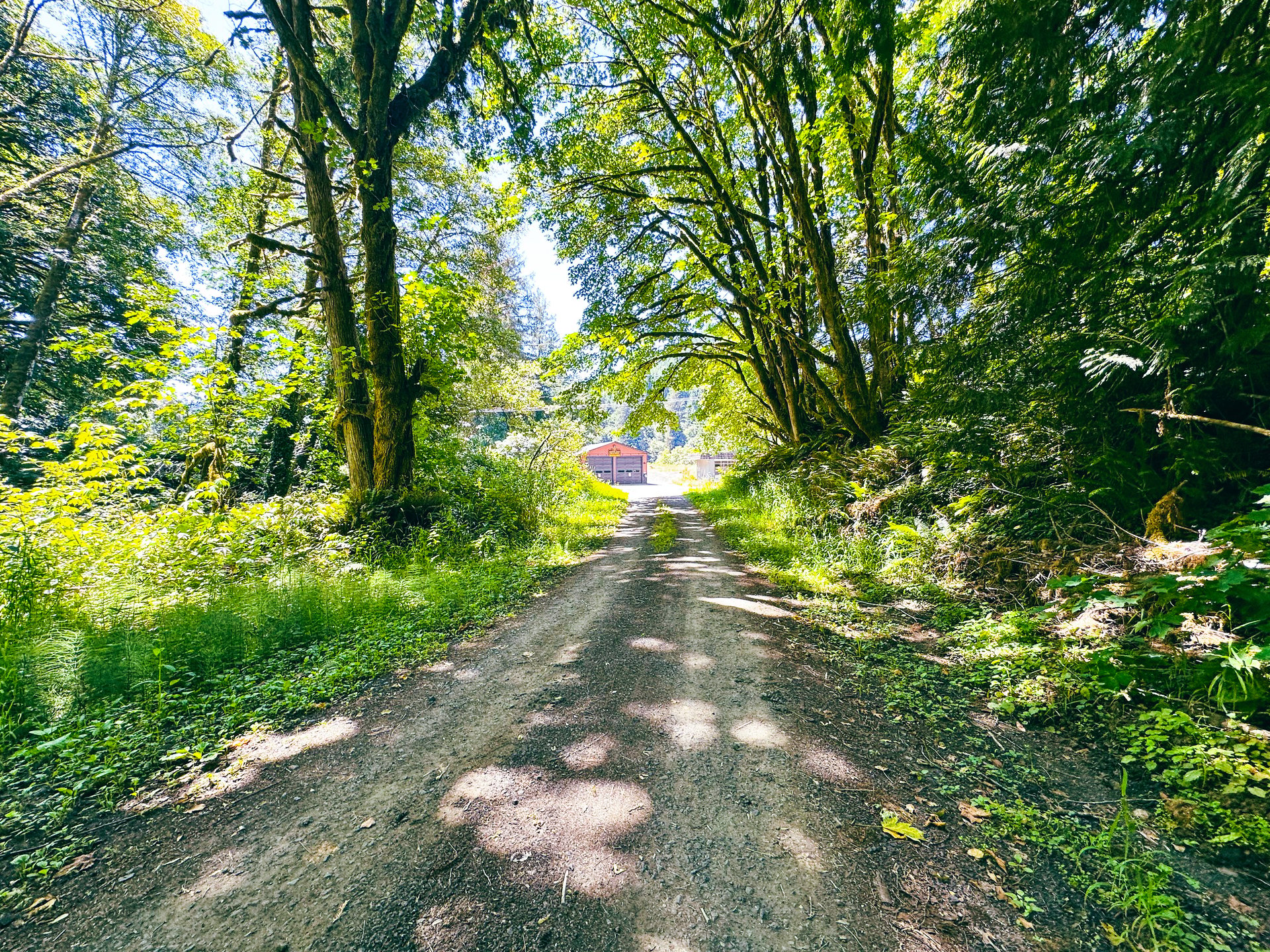 MILL CREEK FOREST