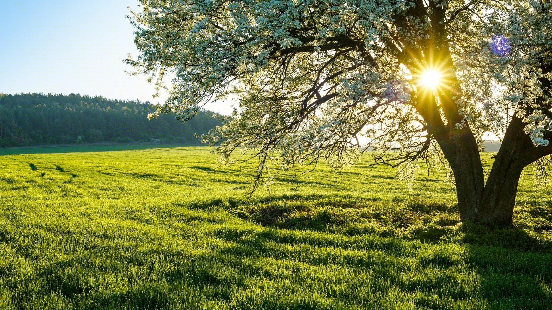 Beyond the Spring Rush Finding Hidden Opportunities in Evergreen & Silver Creek This Summer