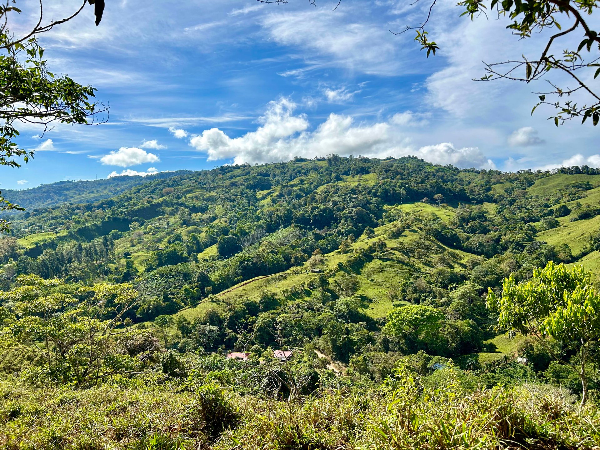 49 Acres Development Farm in San Luis with two Existing Homes 