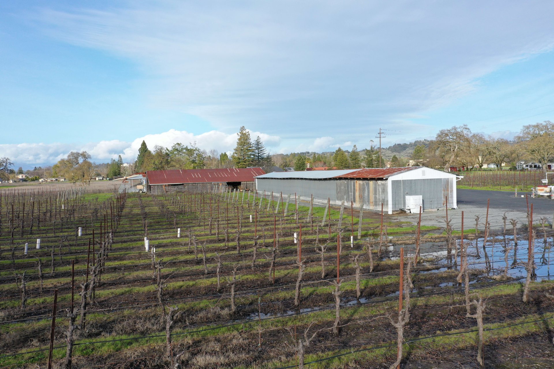 Nunes Vineyards & St. Rose Distillery
