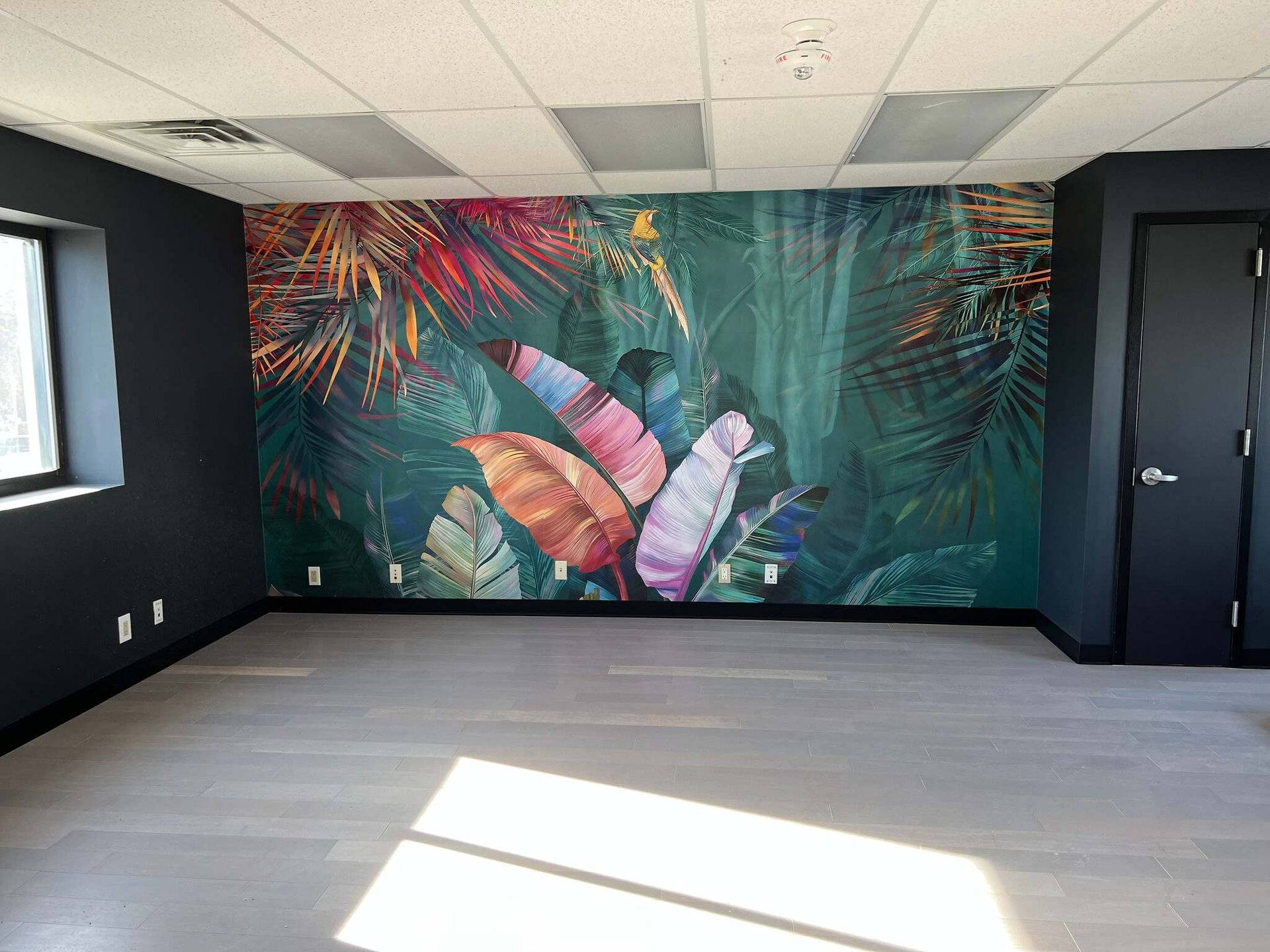 183 Mineola Blvd