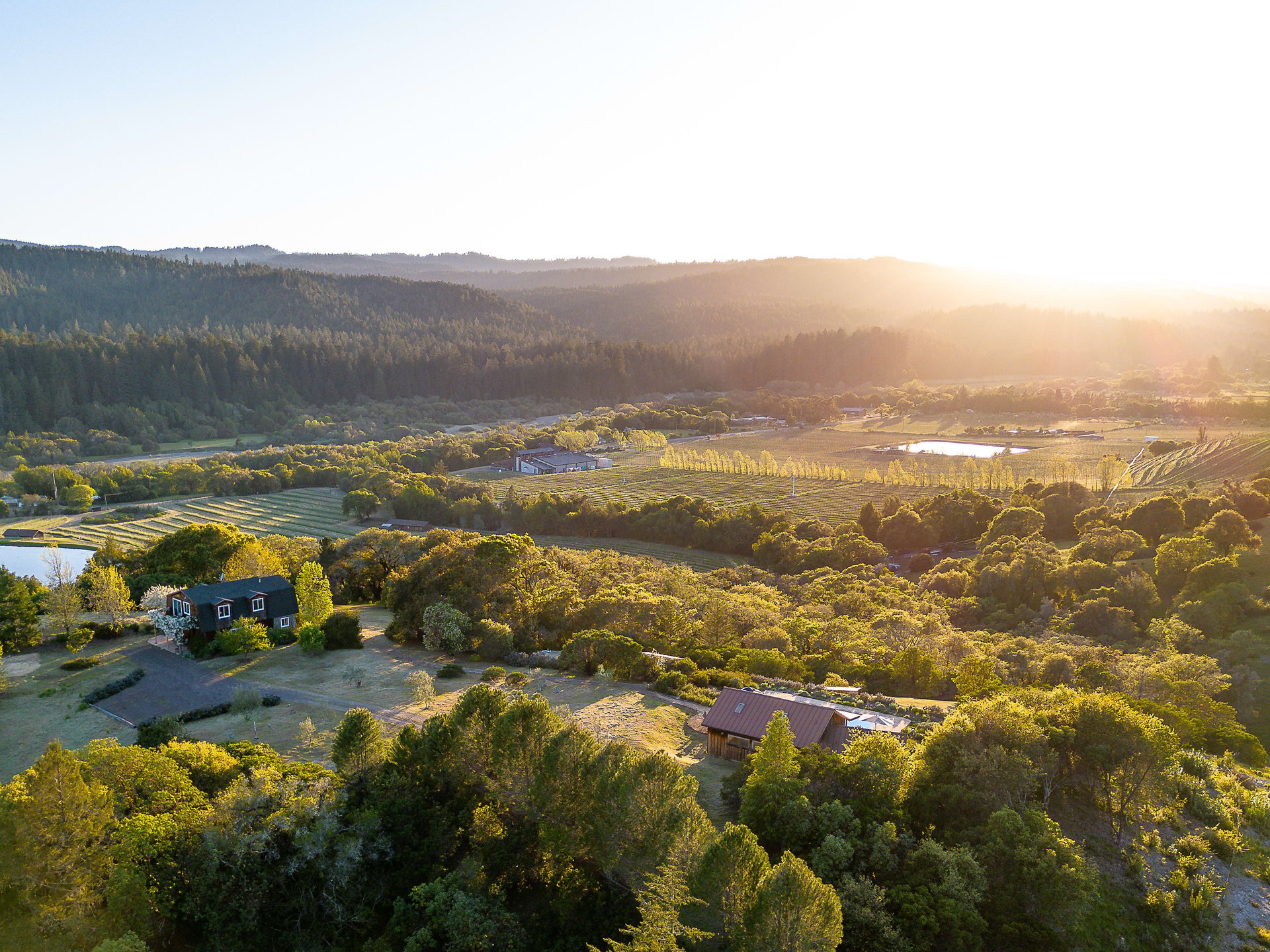 The C Ranch 