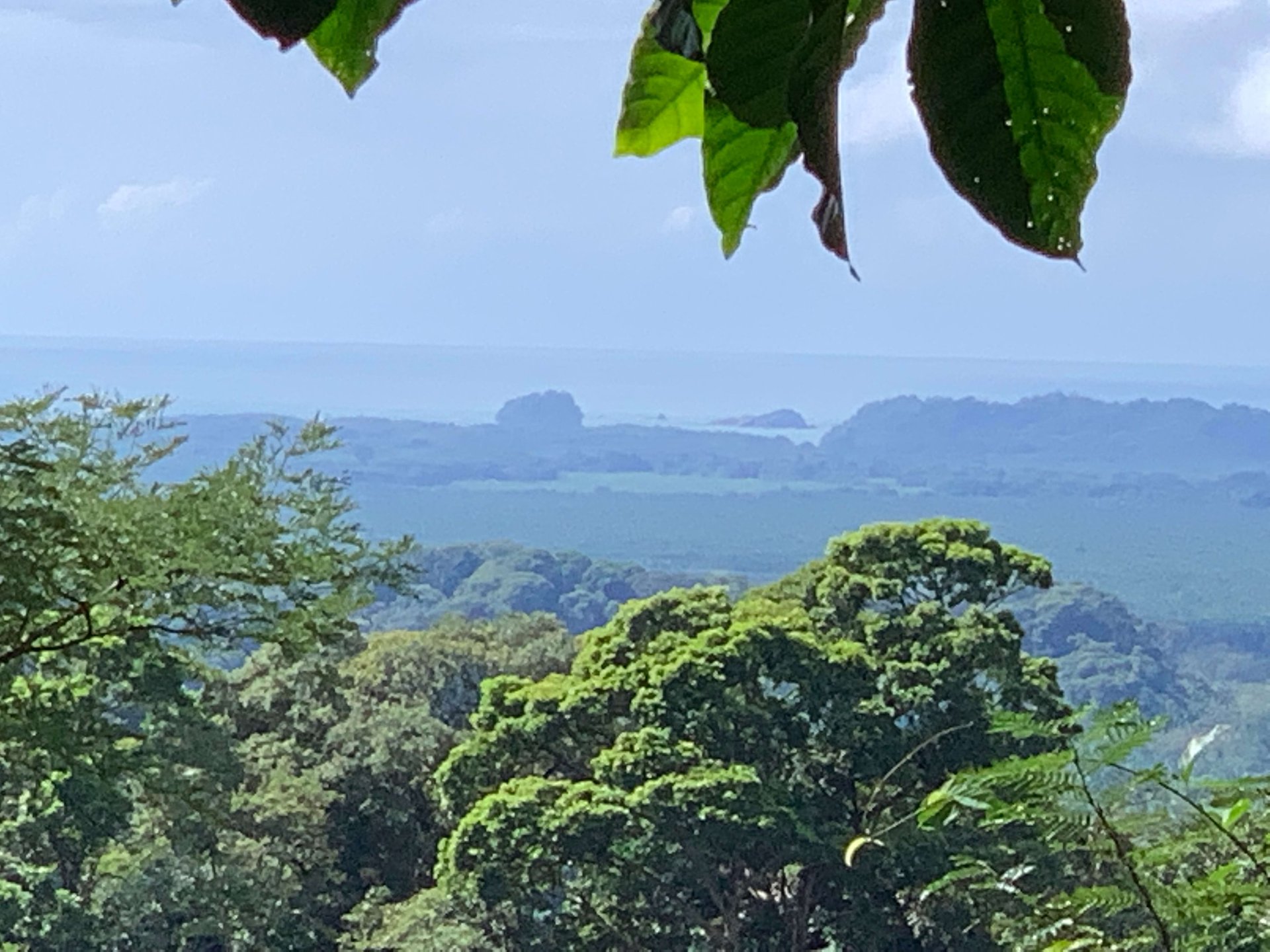Mountain land with ocean view of Manuel Antonio/Quepos Quepos Puntarenas