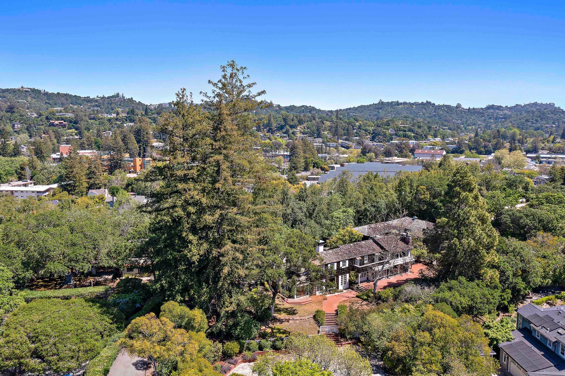 1 Orchard Way