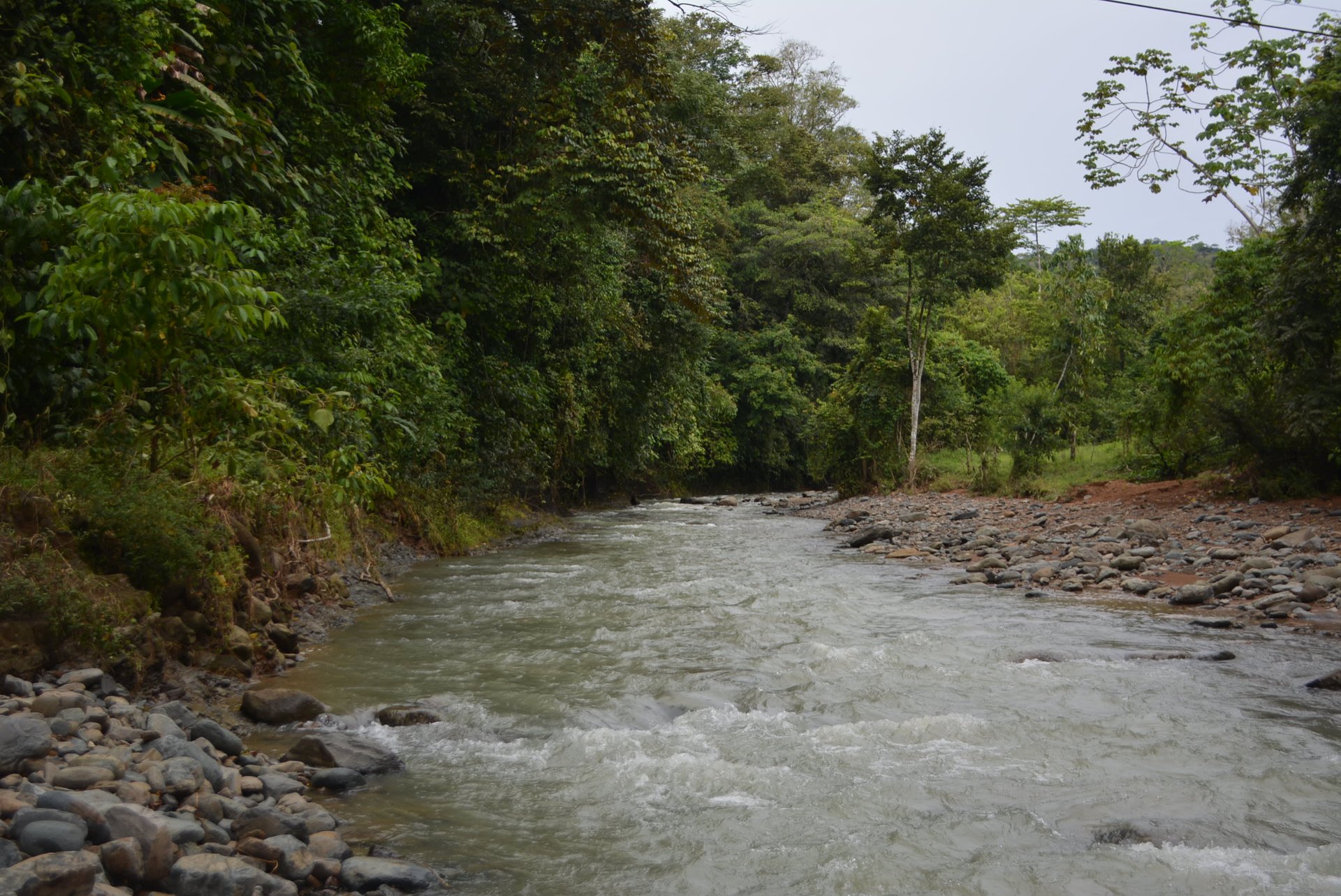 27.6 Acres On The Rio Morenos