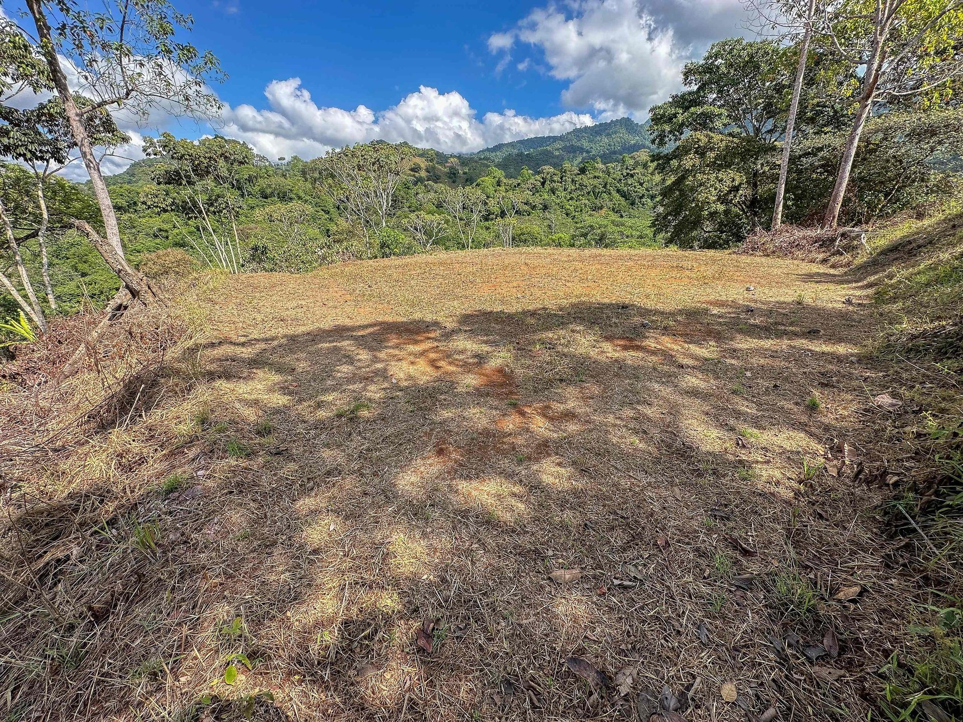 Lot With Two Plantels, Panoramic Mountain And Jungle Views