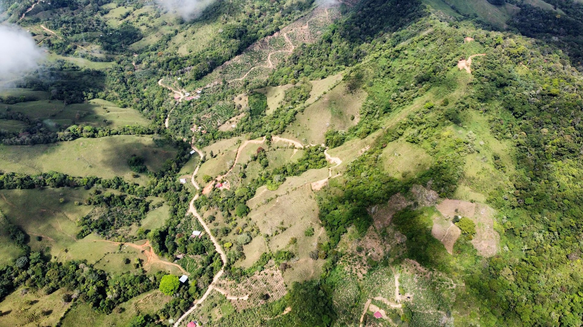 49 Acres Development Farm in San Luis with two Existing Homes 