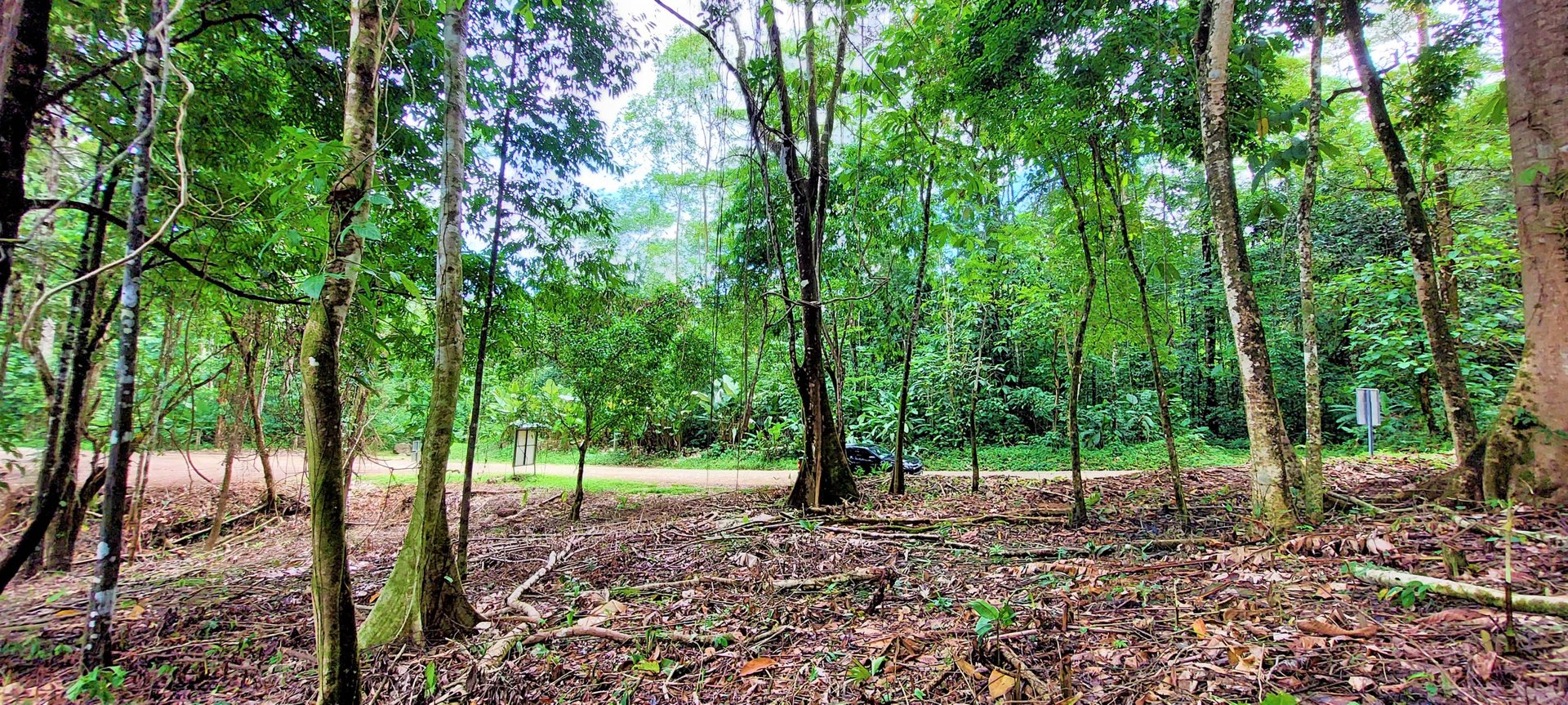 3.5 Acres of Paradise In Uvita, Jungle View!