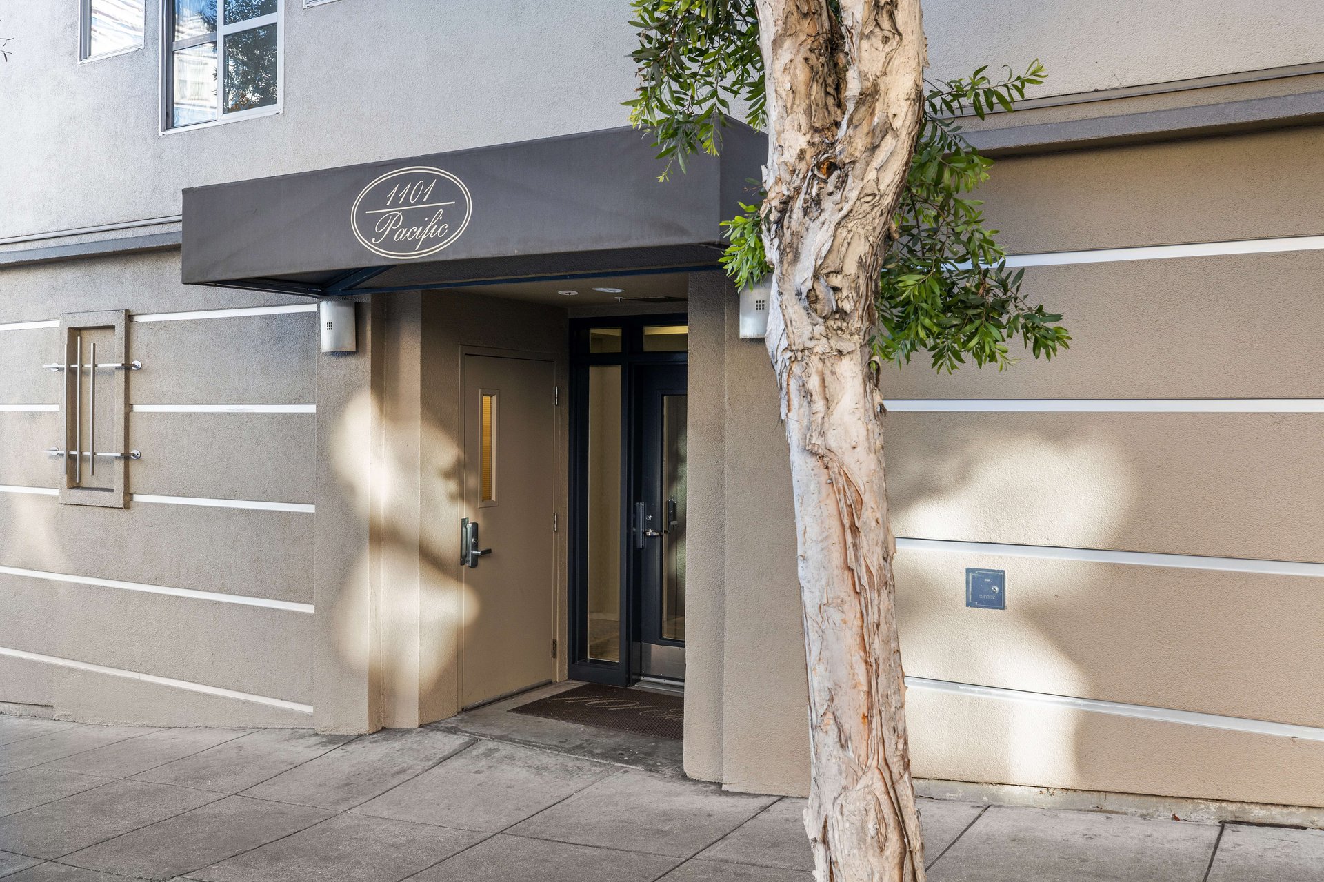 1101 Pacific Avenue #401