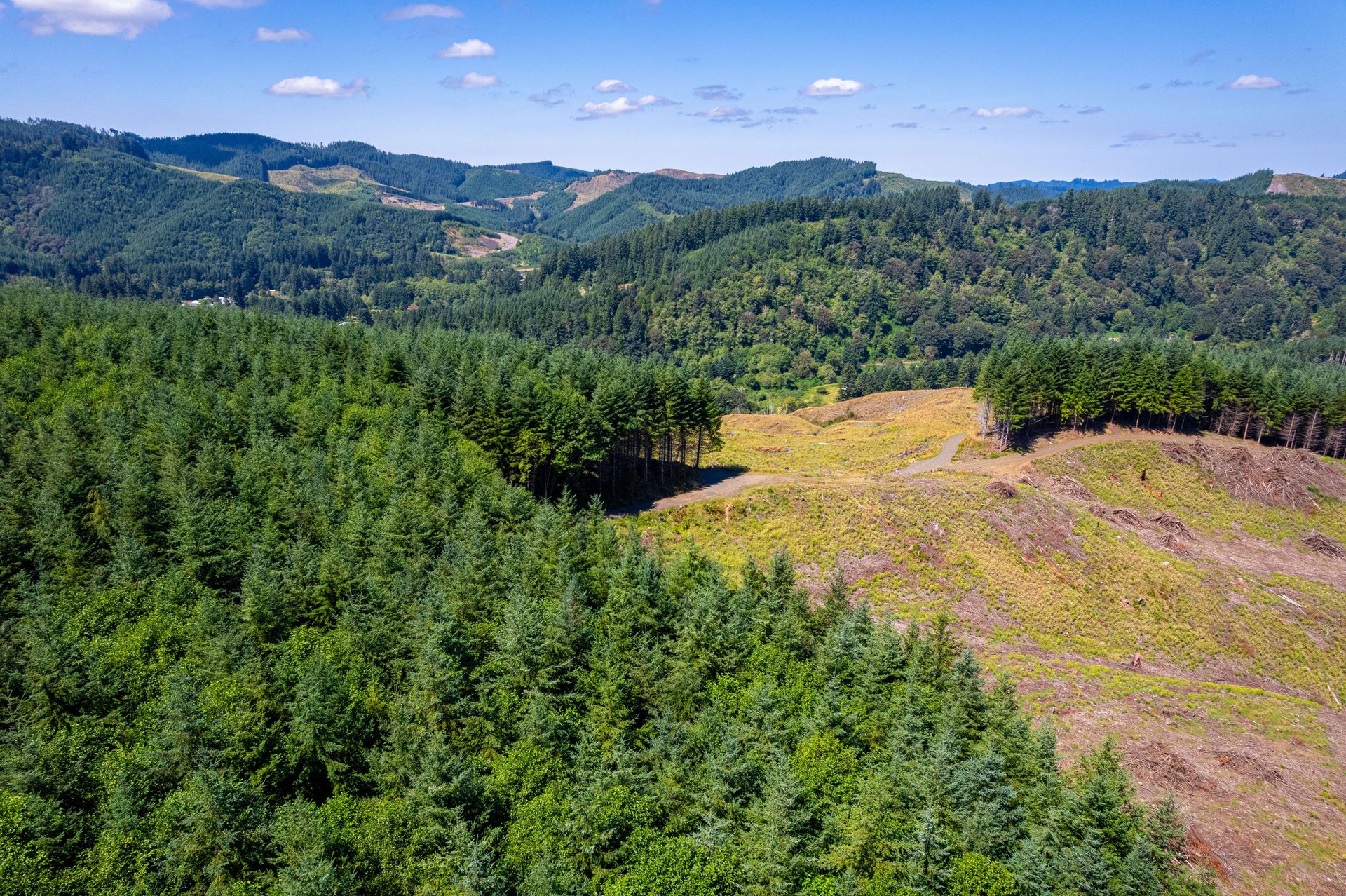 Eddyville/Sam's Creek Sealed Bid Offering (No Published Reserve) 
