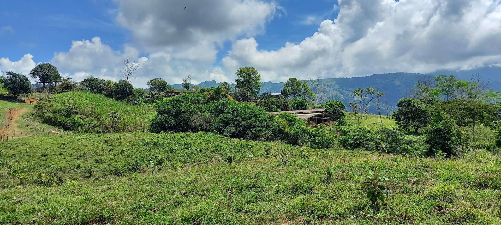 16.7 Acres At 3000 Feet, Fresh Air, Cano Island, Blue Pacific Views 