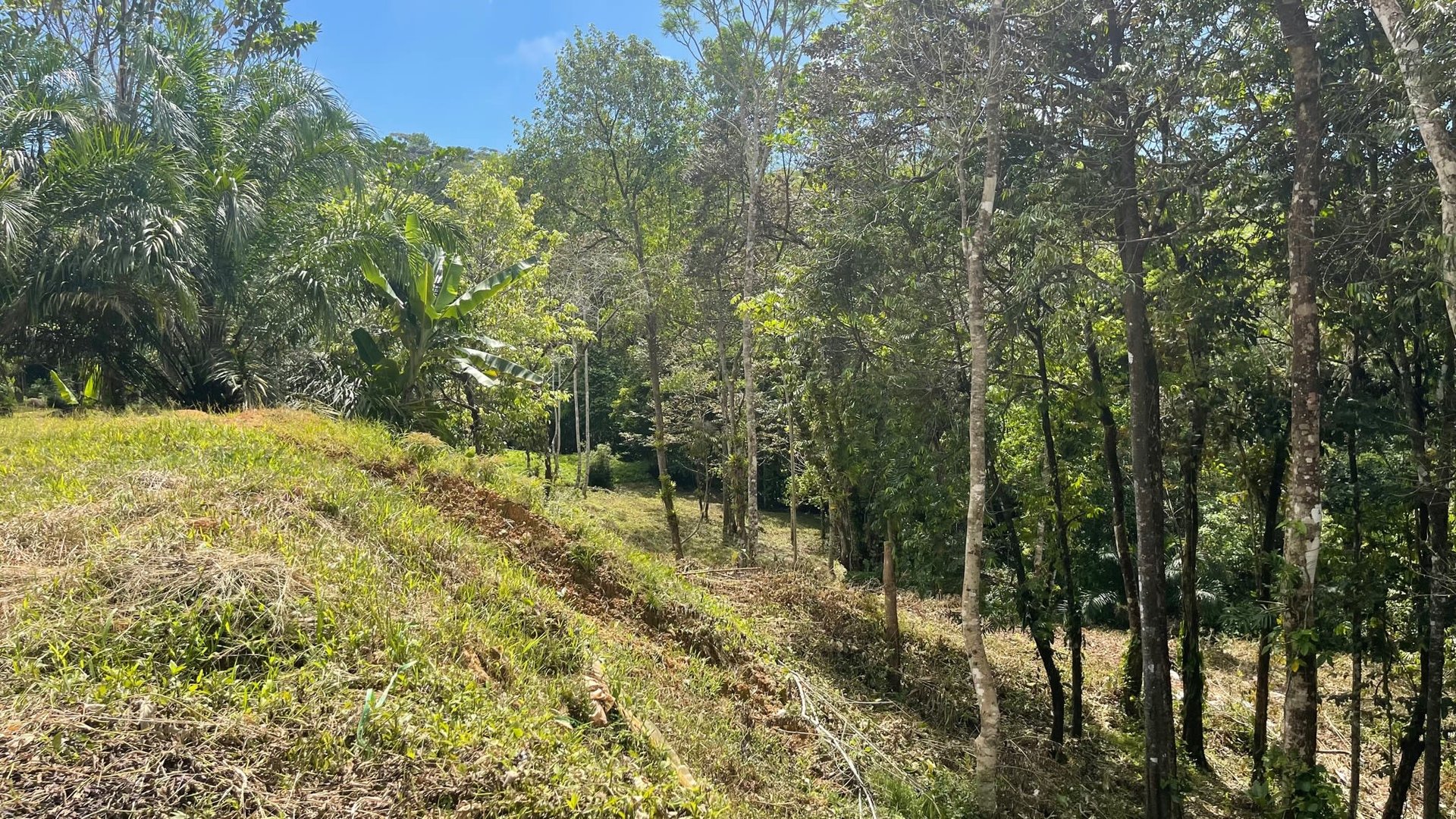 Dulce, Uvita Lot 34 Ocean View and Ready to Build! Gated Community!!