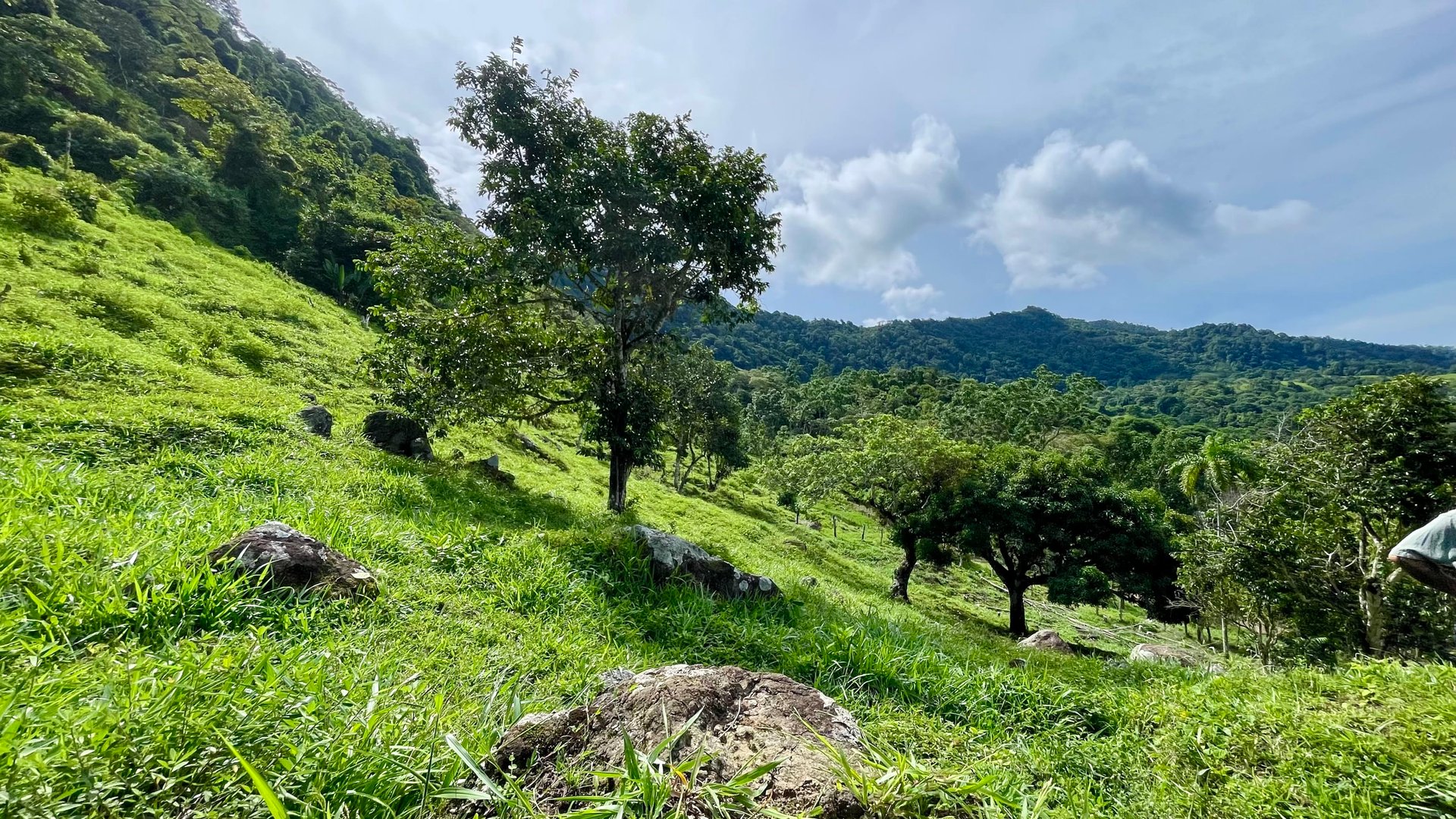 FIRE SALE!! Ocean View Farm in San Luis de Morete, Over 23 Acres