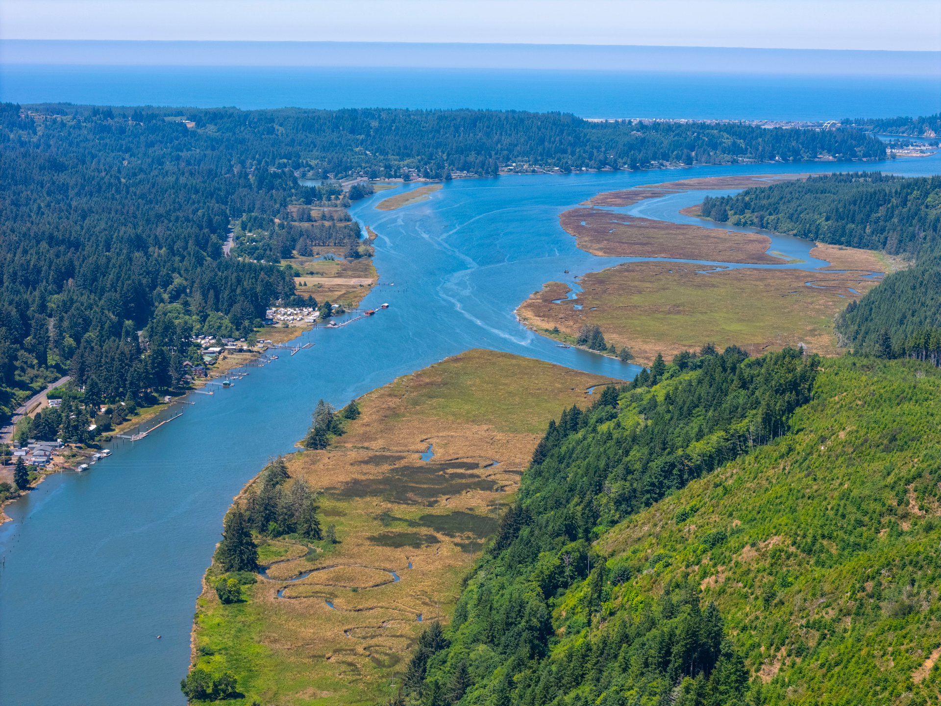 Alsea Estuary Forestland