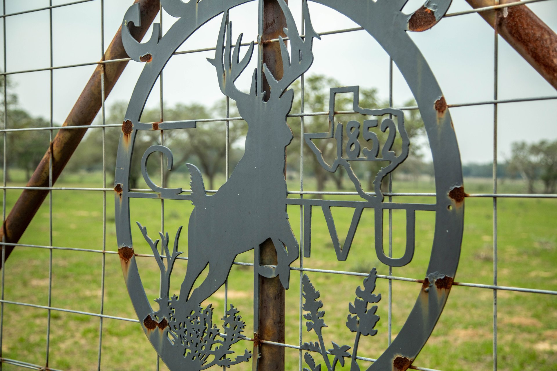 Five Mile Creek Reserve | 252.73± Acres-High Fence | DeWitt County, TX
