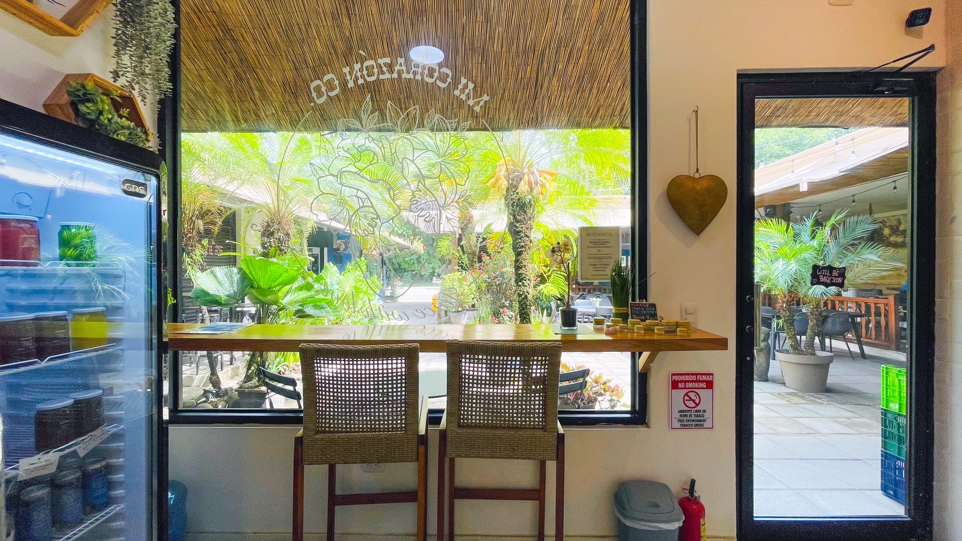 Juice Bar for Sale in Ojochal, Costa Rica | Turnkey Business Opportunity